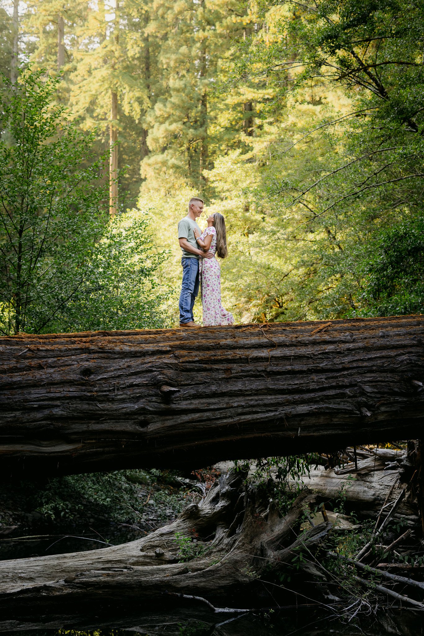 redwood surprise engagement 