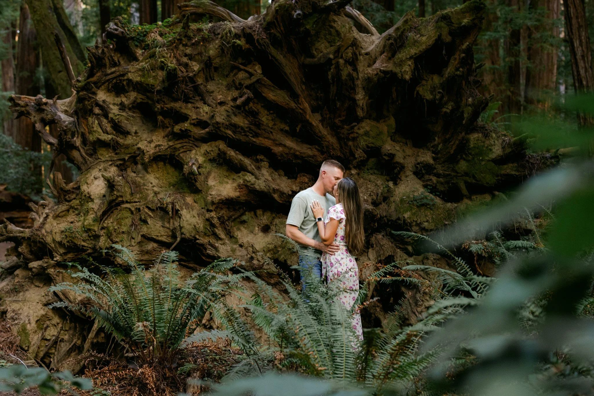 large stump photo
