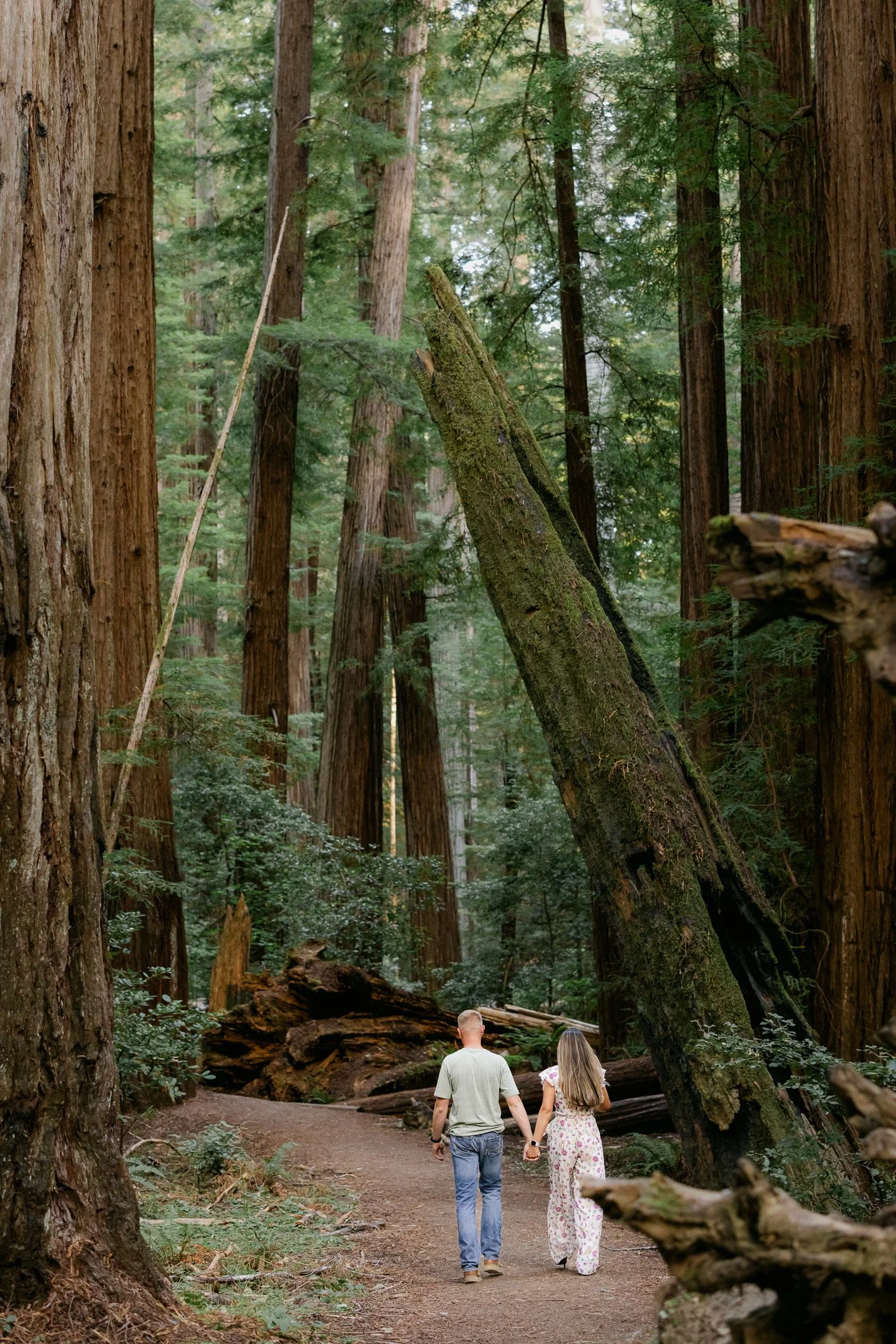 redwood surprise engagement 