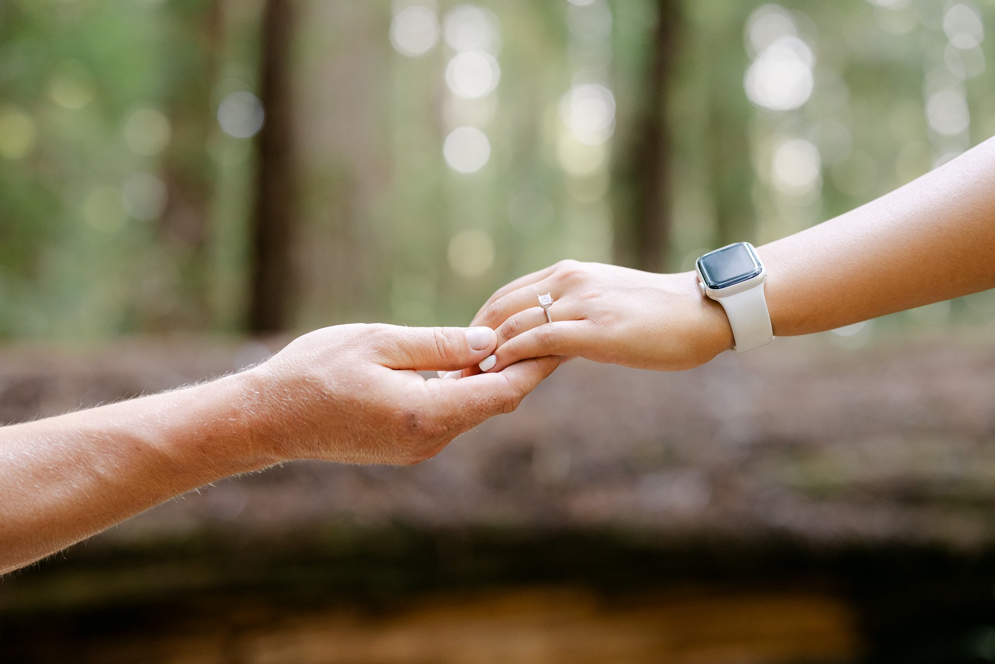 redwood surprise engagement 