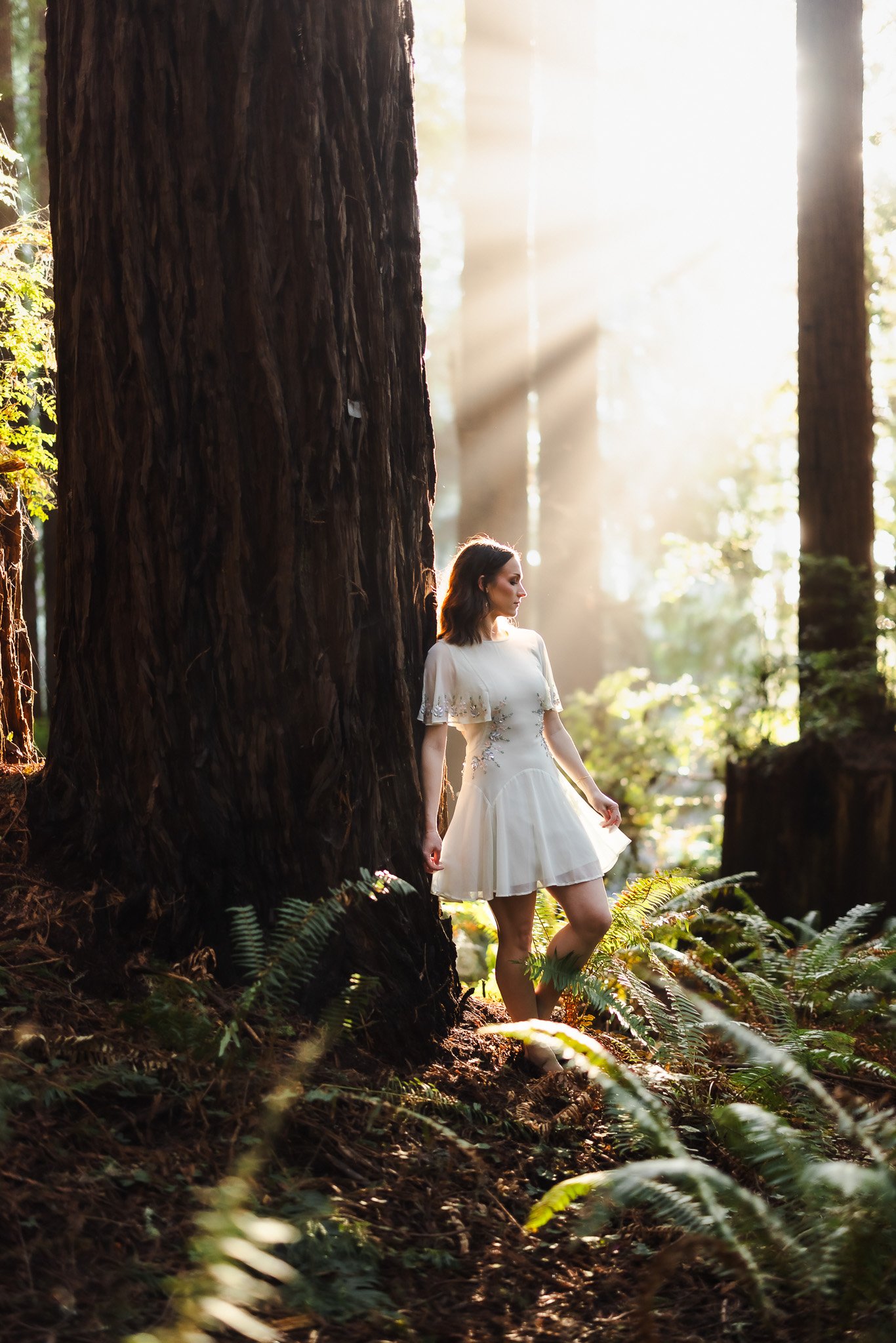 exploring Humboldt County         -a visitors guide-
