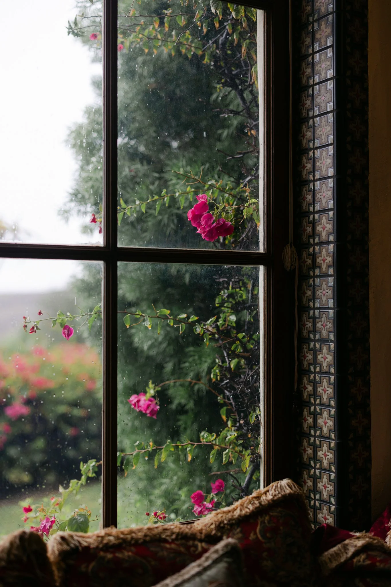257A7146.jpg