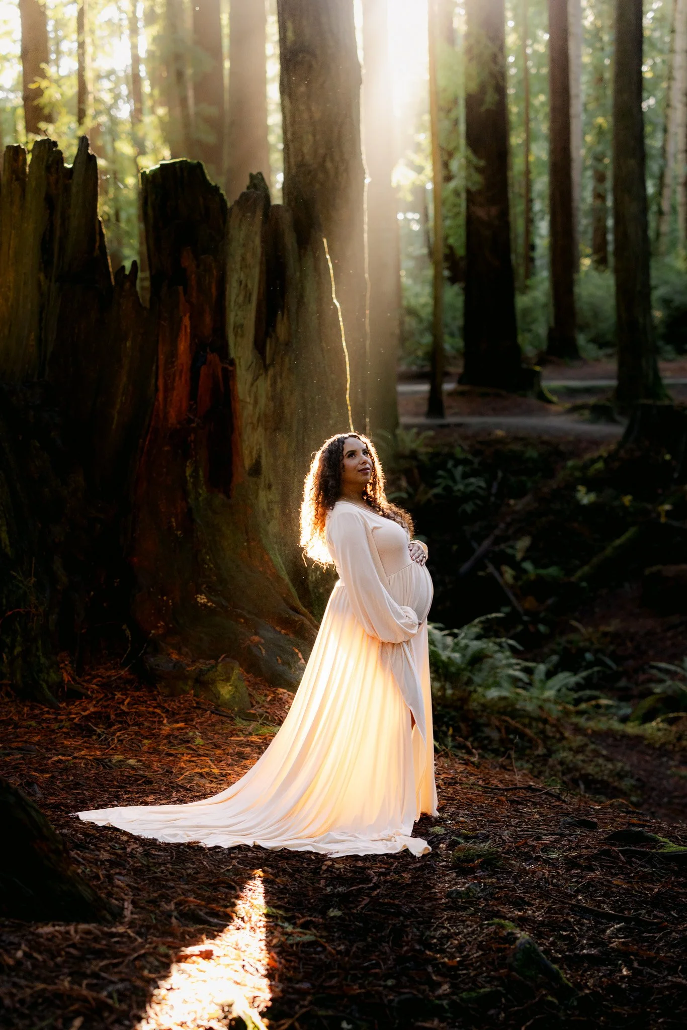 Maternity photo shoot in the Redwoods