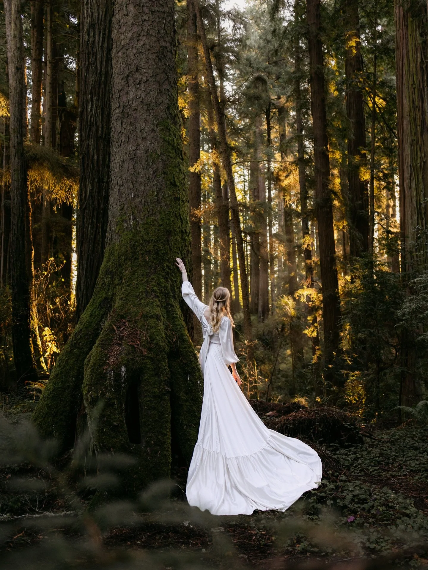 The sweetest little spectator. 

I spotted an incredible tree in the redwood forest with moss-covered roots which rose above the ground (first photo)&mdash;and tucked right in the middle was the cutest curious squirrel. He popped in and out of the ro