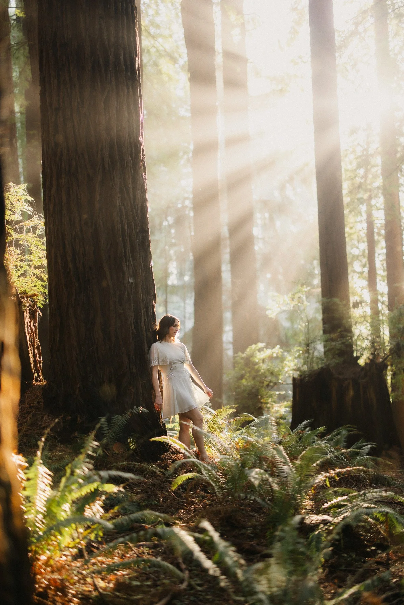 A Dancer in the Redwoods | Arcata Community Forest Evening Session