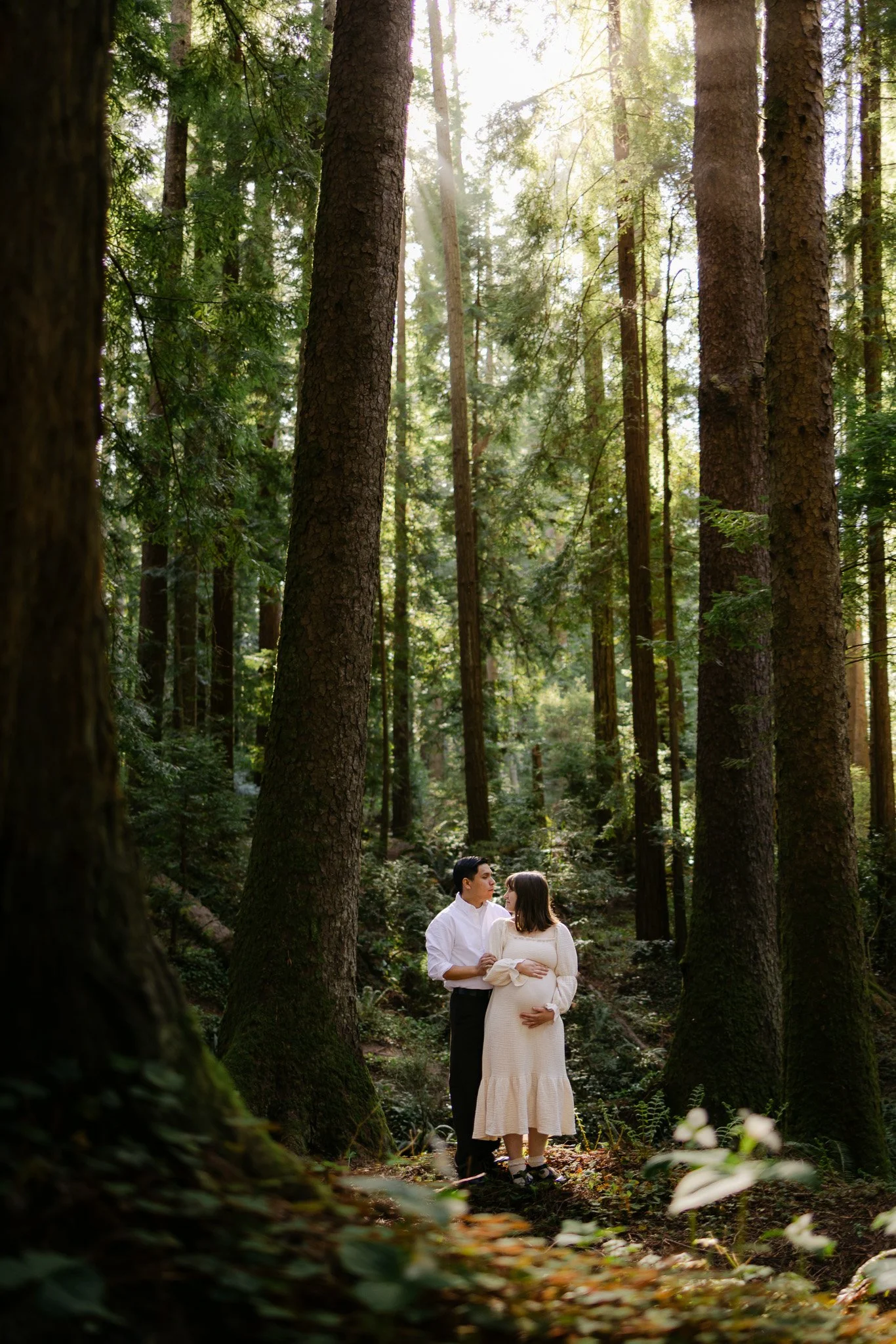 Maternity in the Redwoods