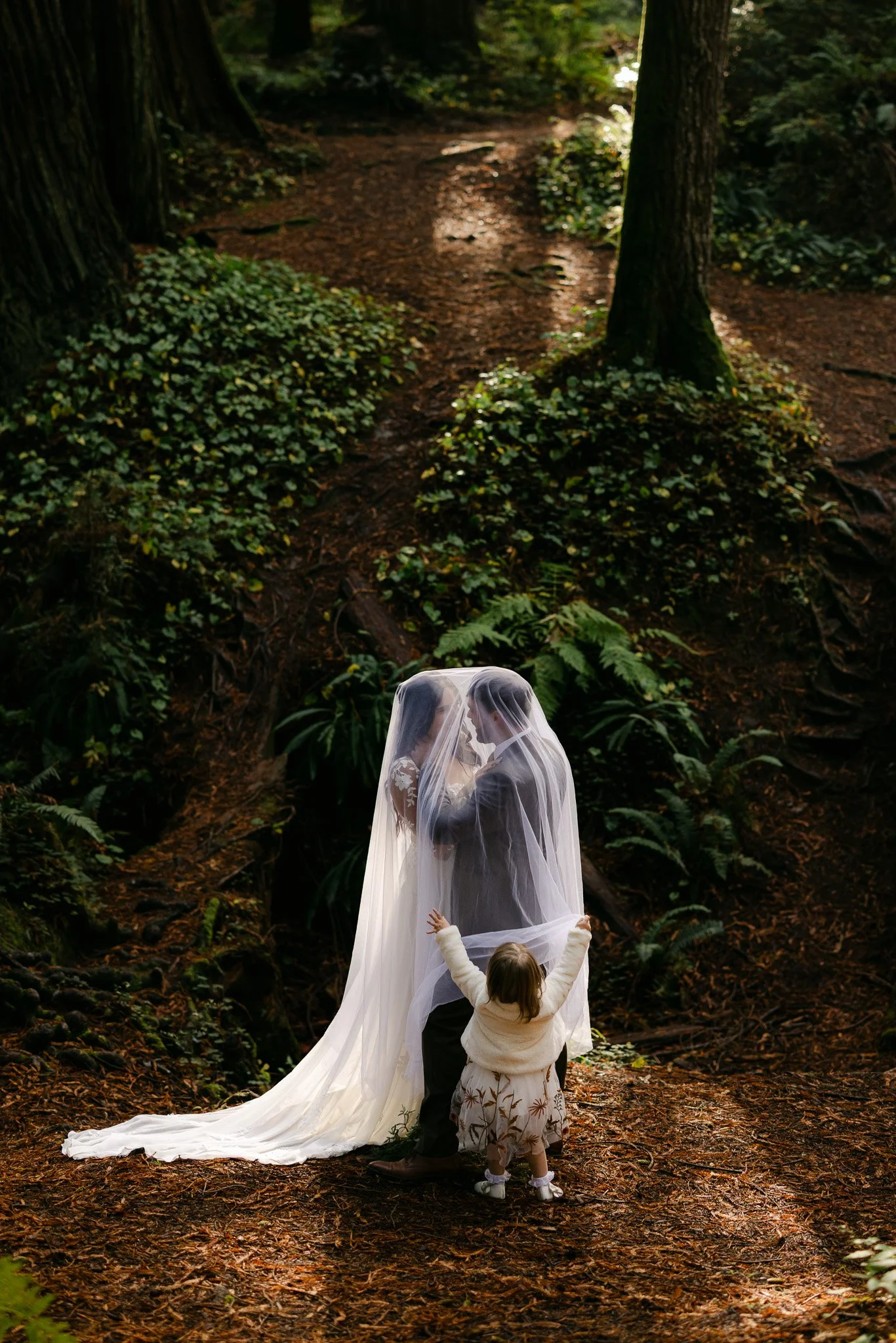 Scott and Dakota’s ELOPEMENT-styled shoot in the Redwoods