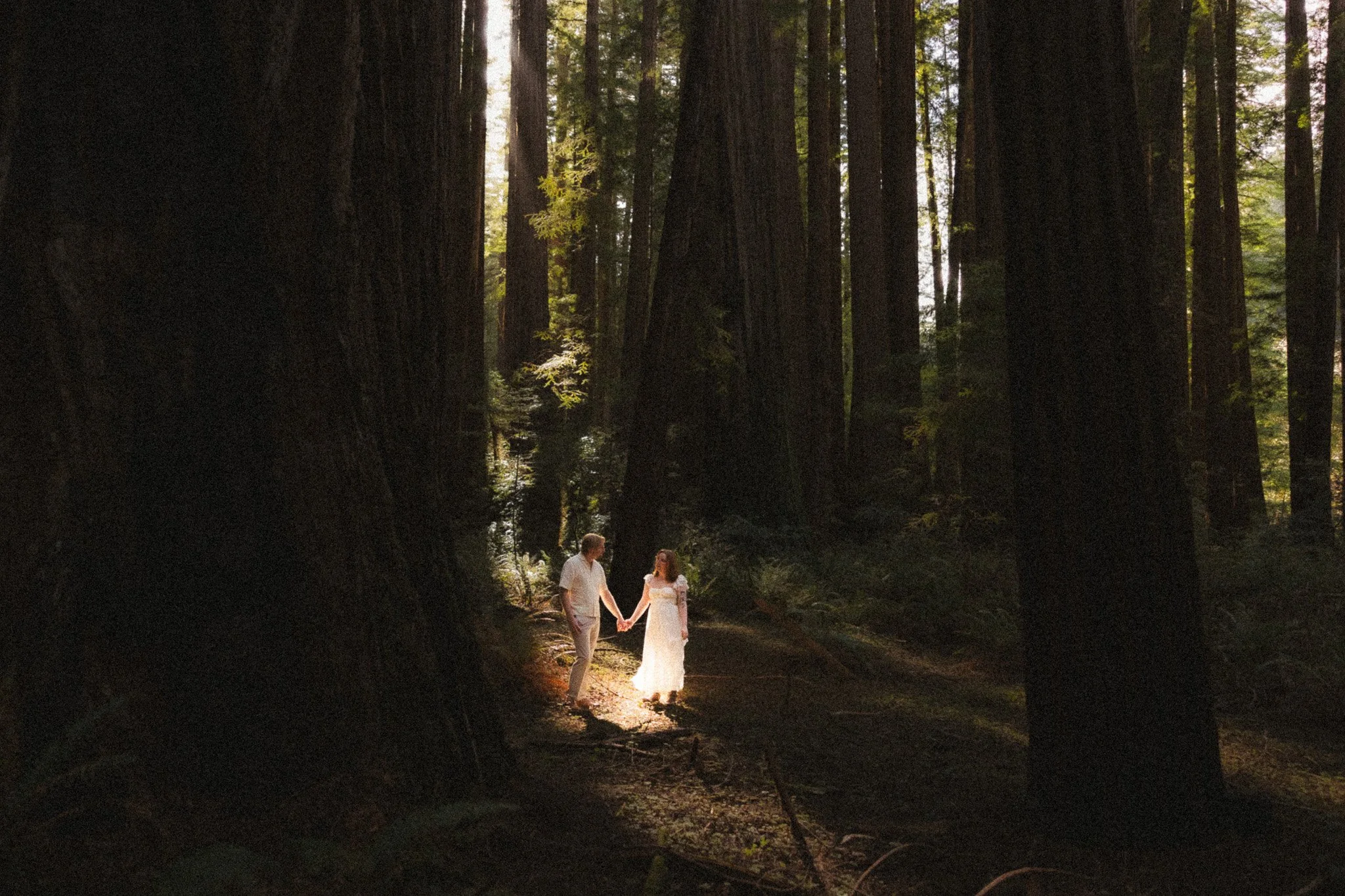 Redwood surprise proposal 