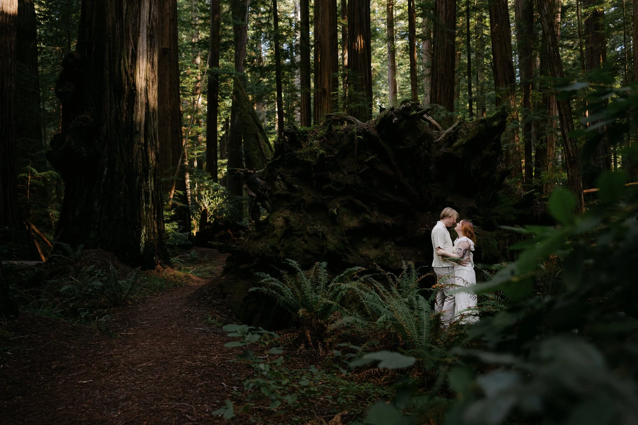Avenue of the Giants