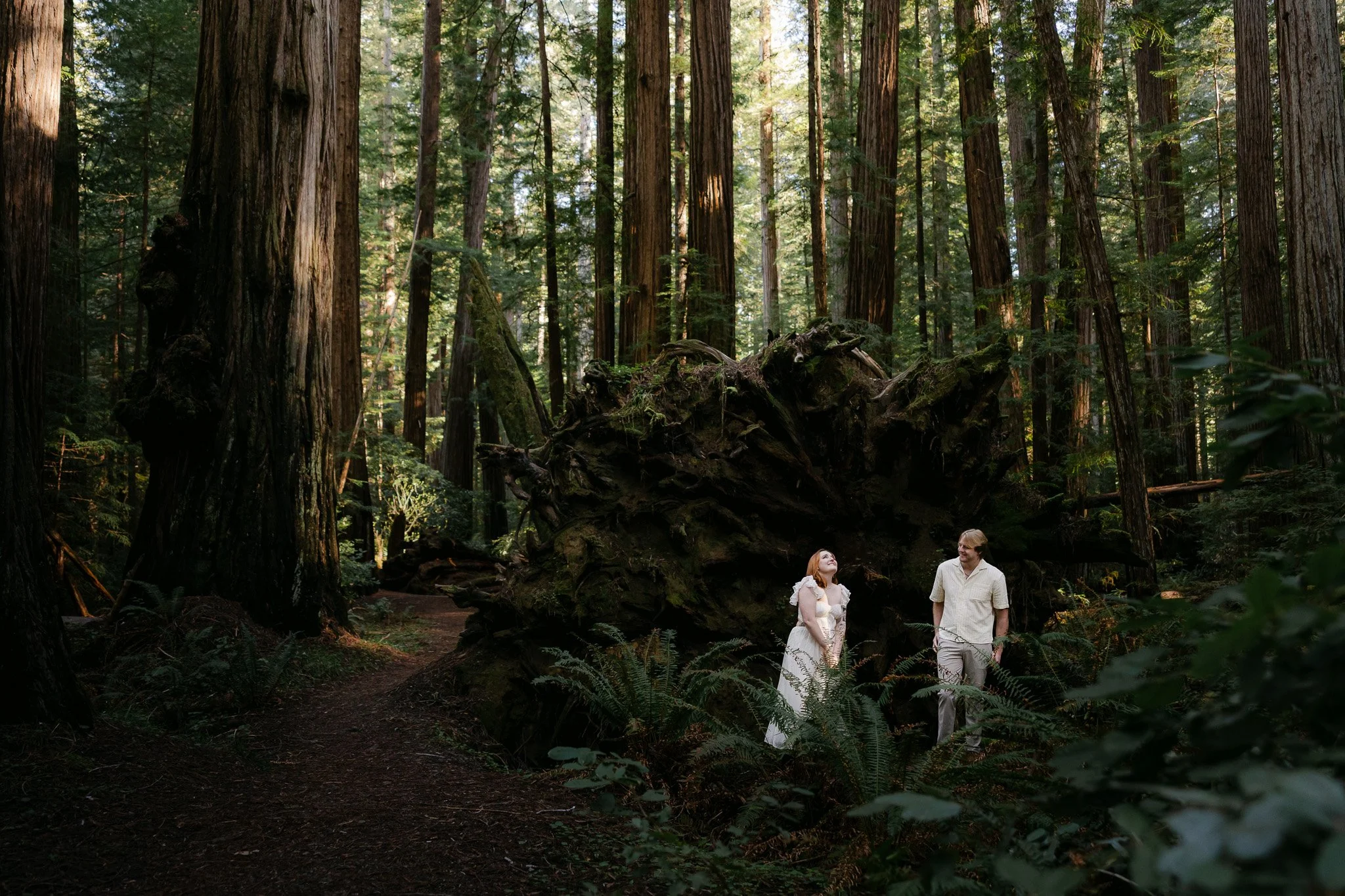 Surprise Proposal in the Redwoods