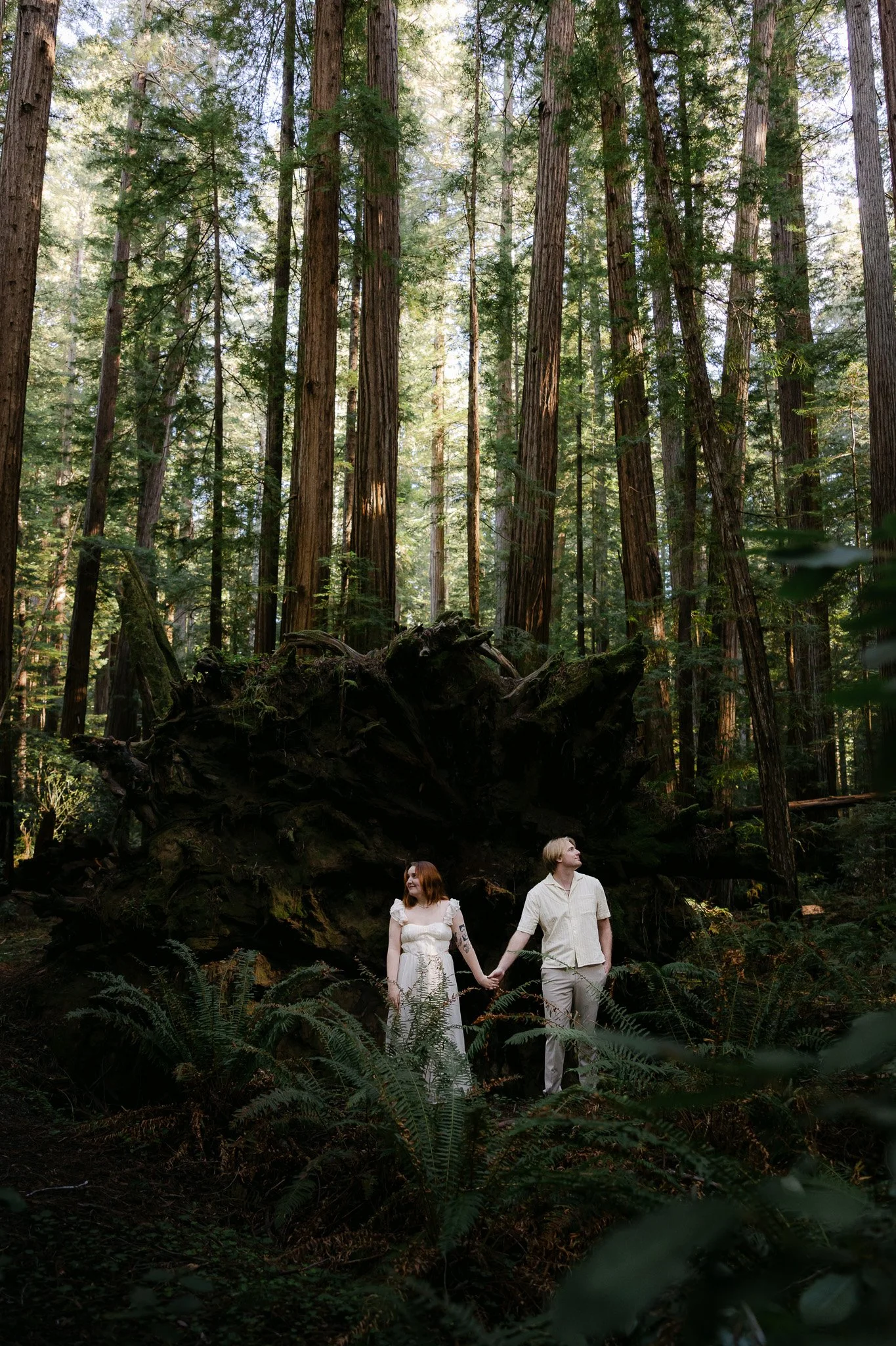 Surprise Proposal in the Redwoods