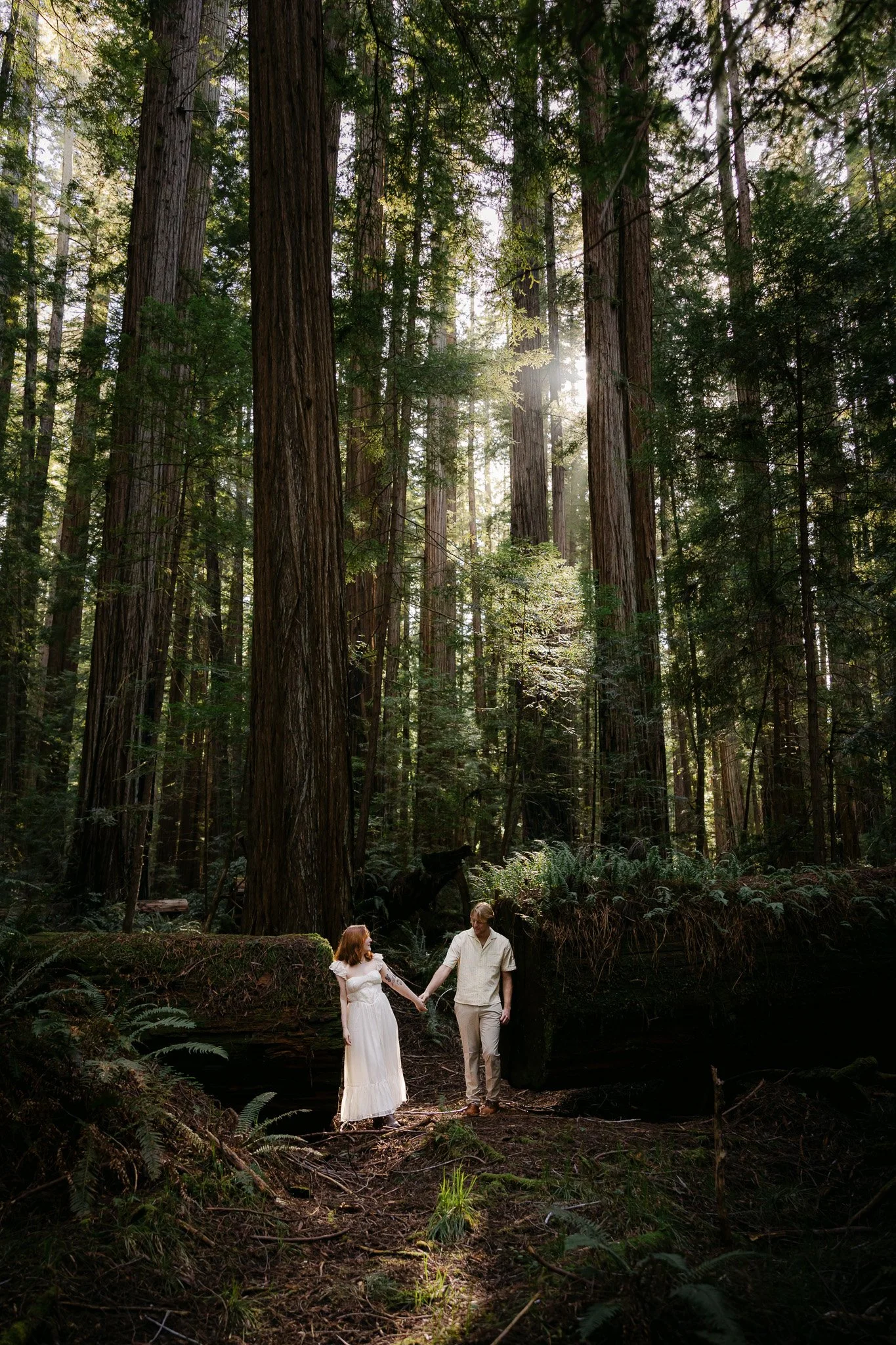 Surprise Proposal in the Redwoods