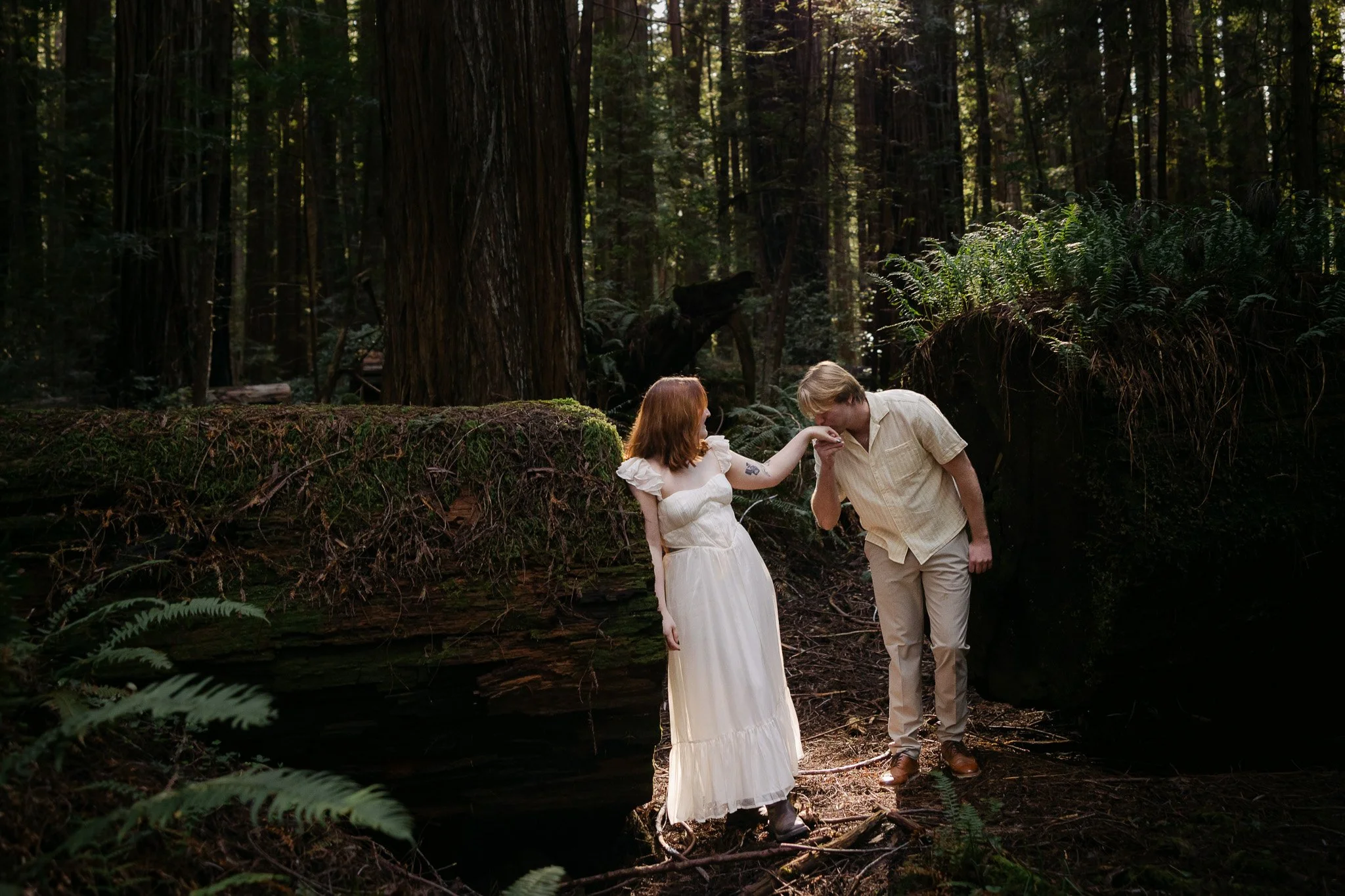 Surprise Proposal in the Redwoods