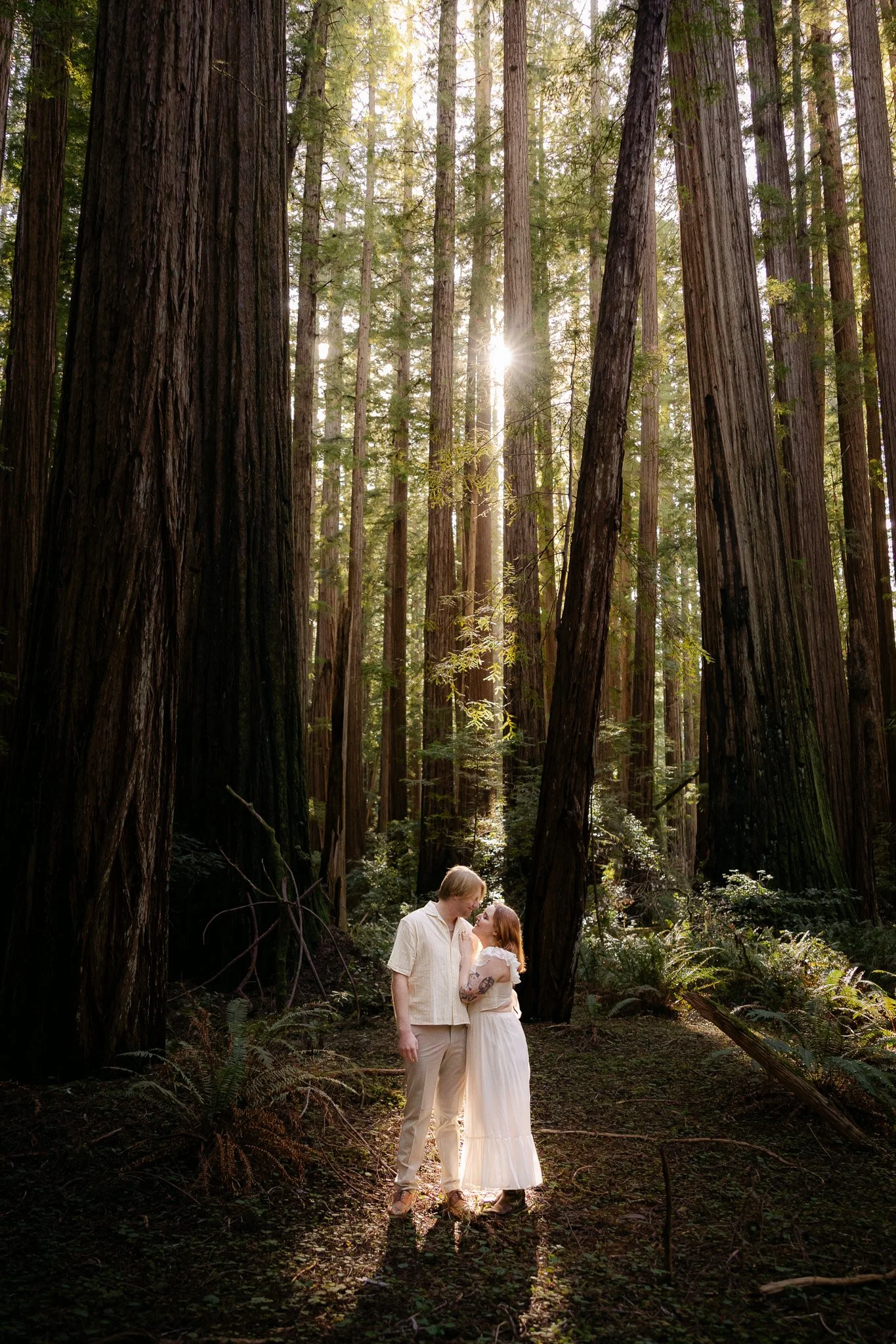 Surprise Proposal in the Redwoods