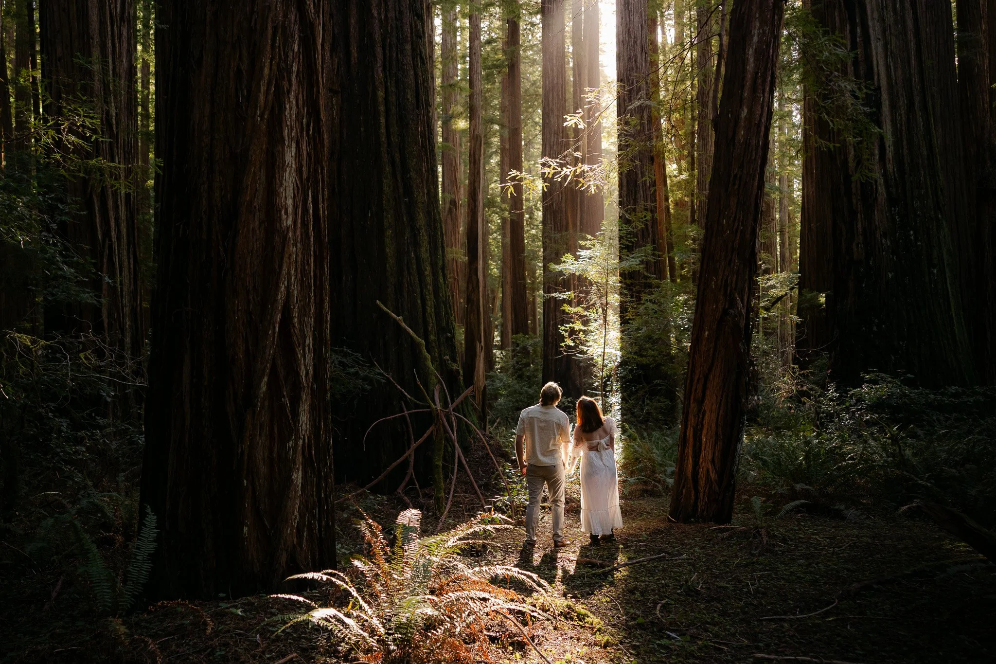 Redwood Surprise Engagement 