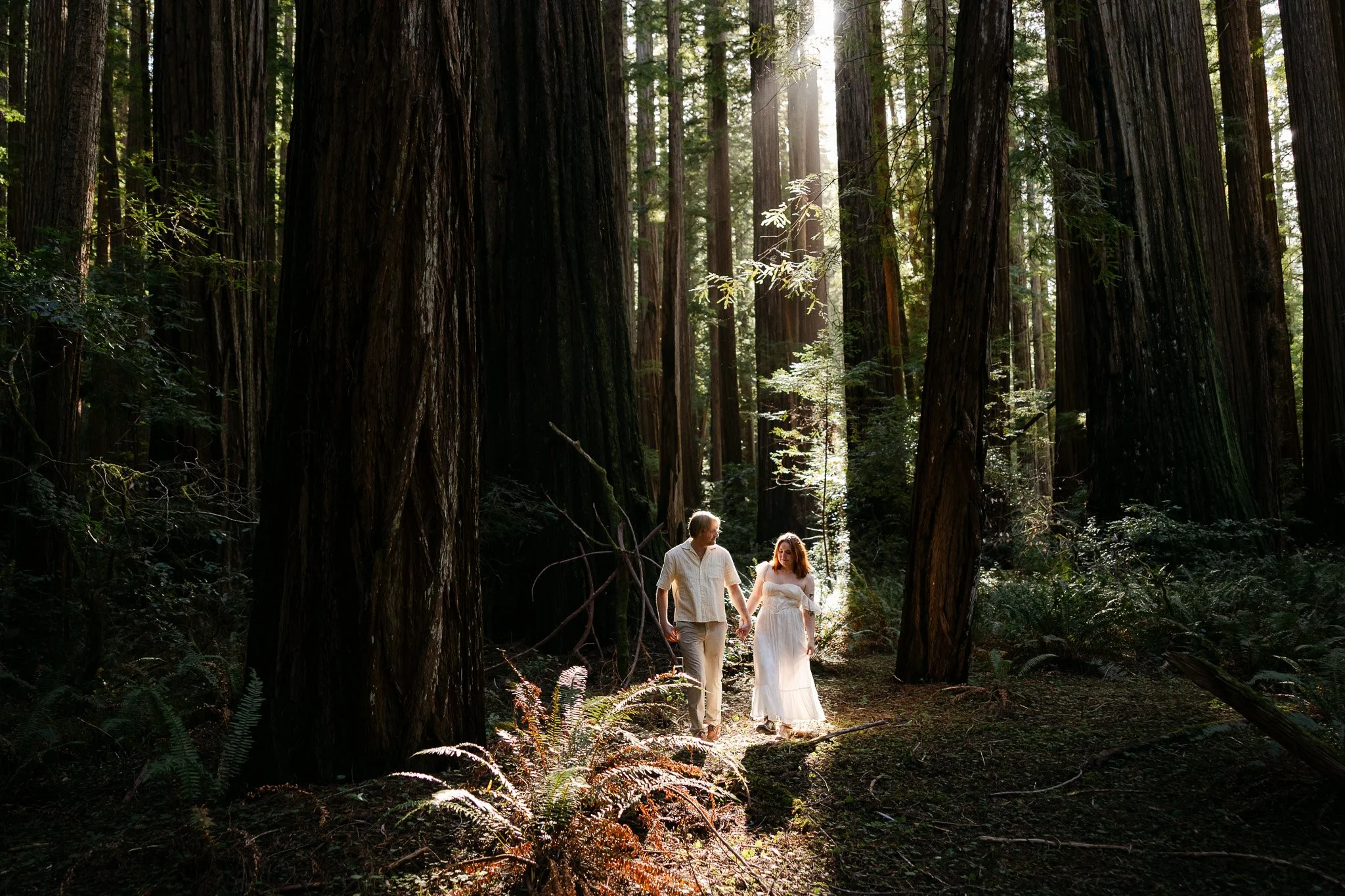 Redwood Surprise Engagement 
