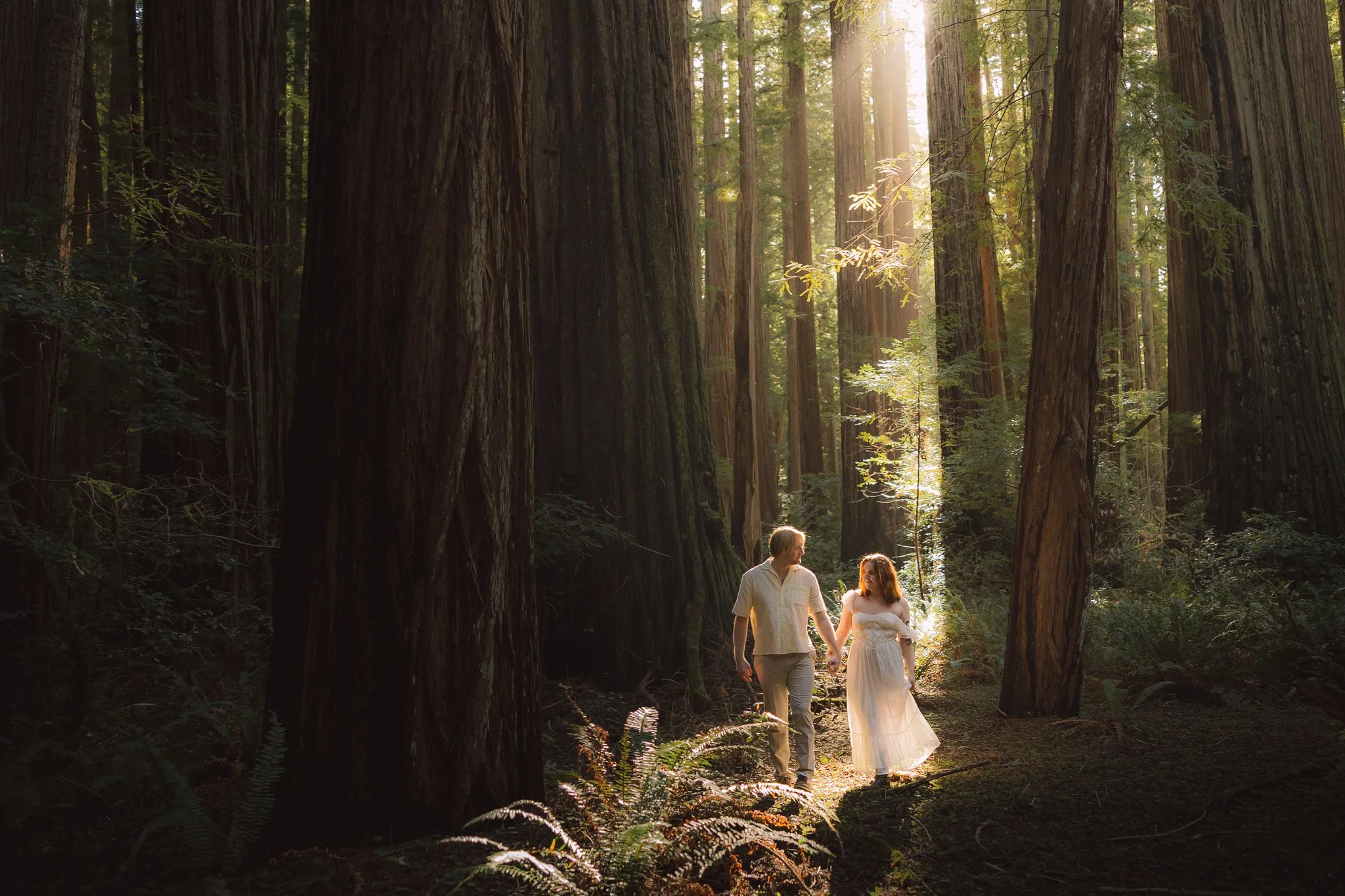 Redwood Surprise Engagement 