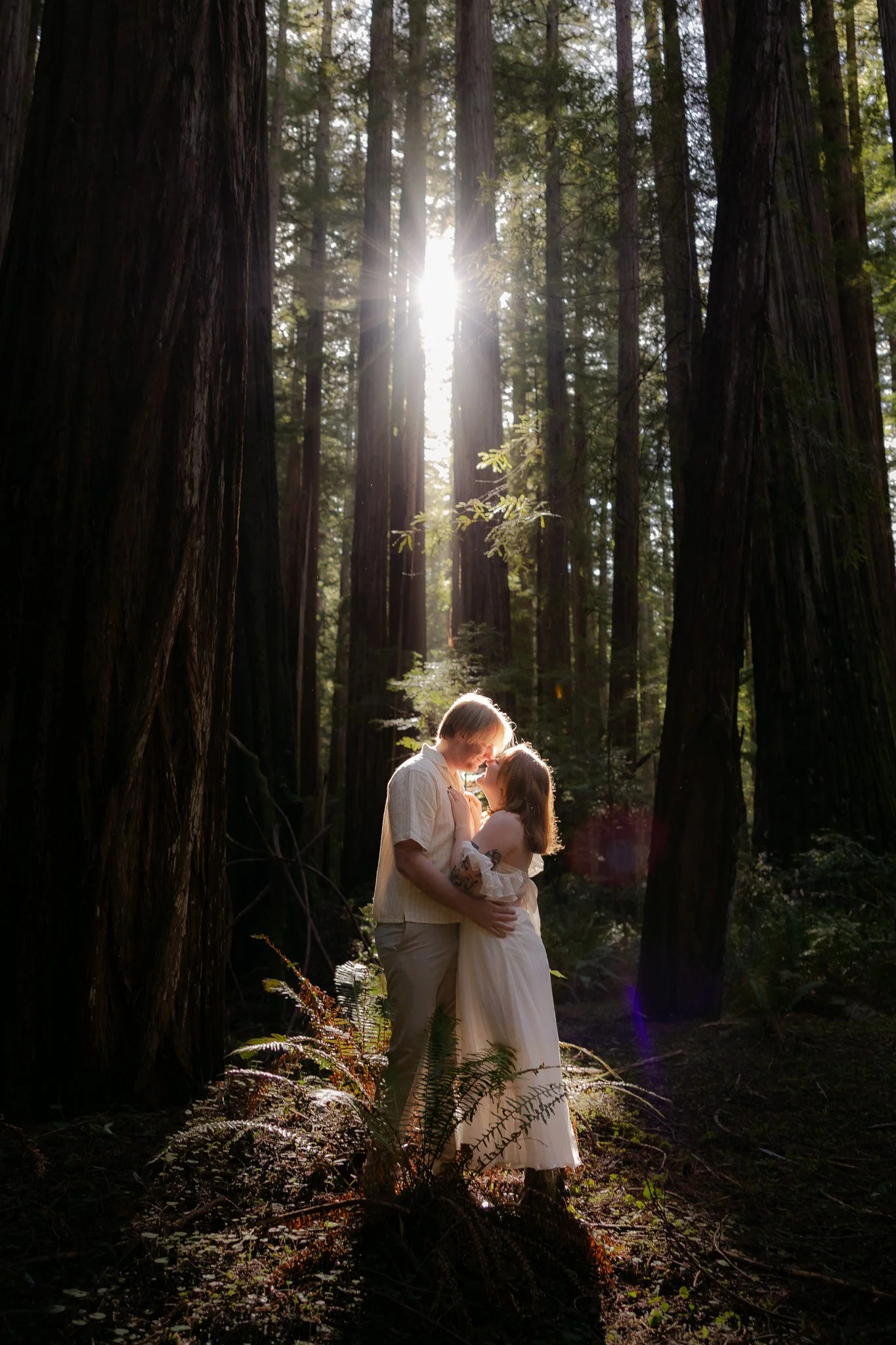 Redwood Surprise Engagement 
