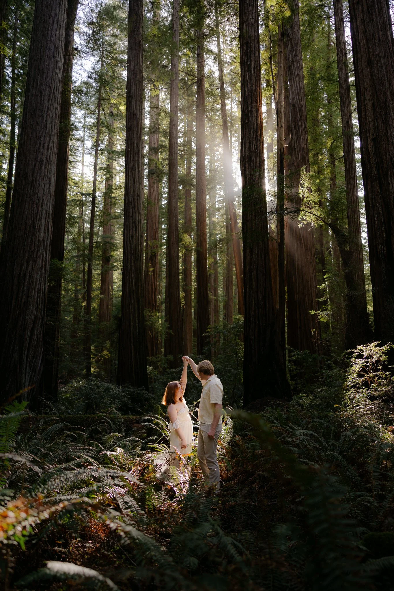 Redwood Surprise Engagement 