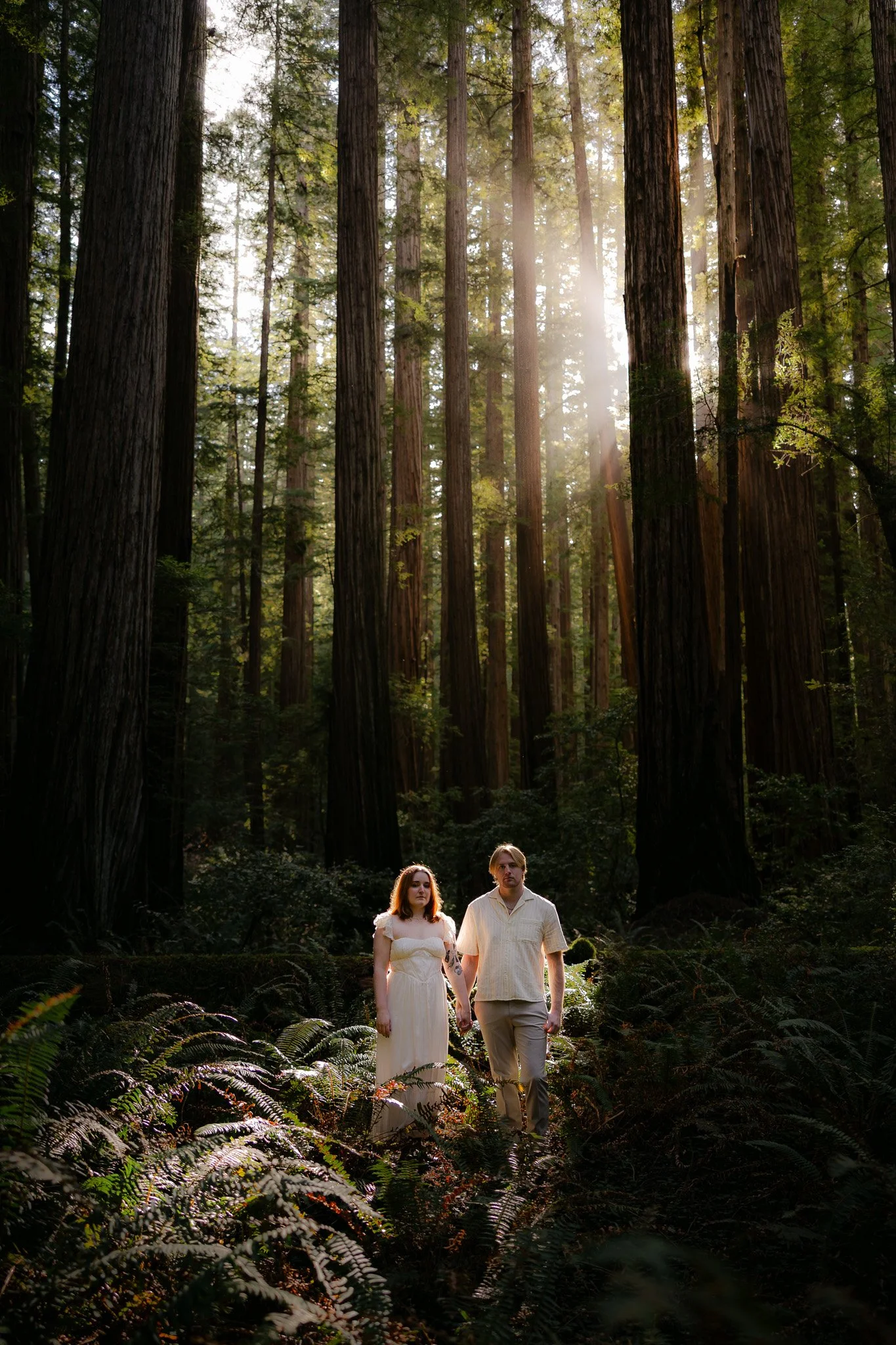 Redwood Surprise Engagement 