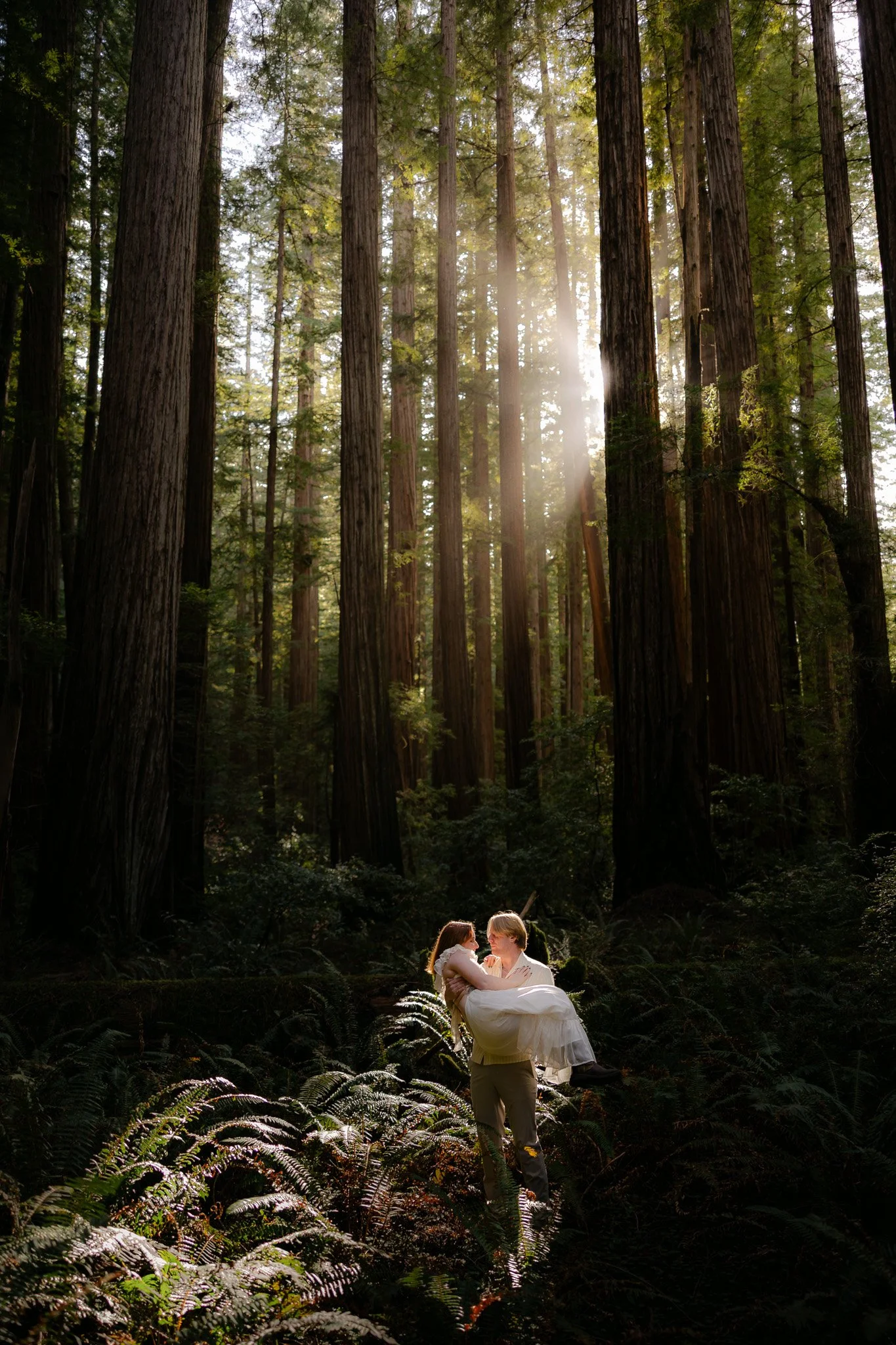 Redwood Surprise Engagement 