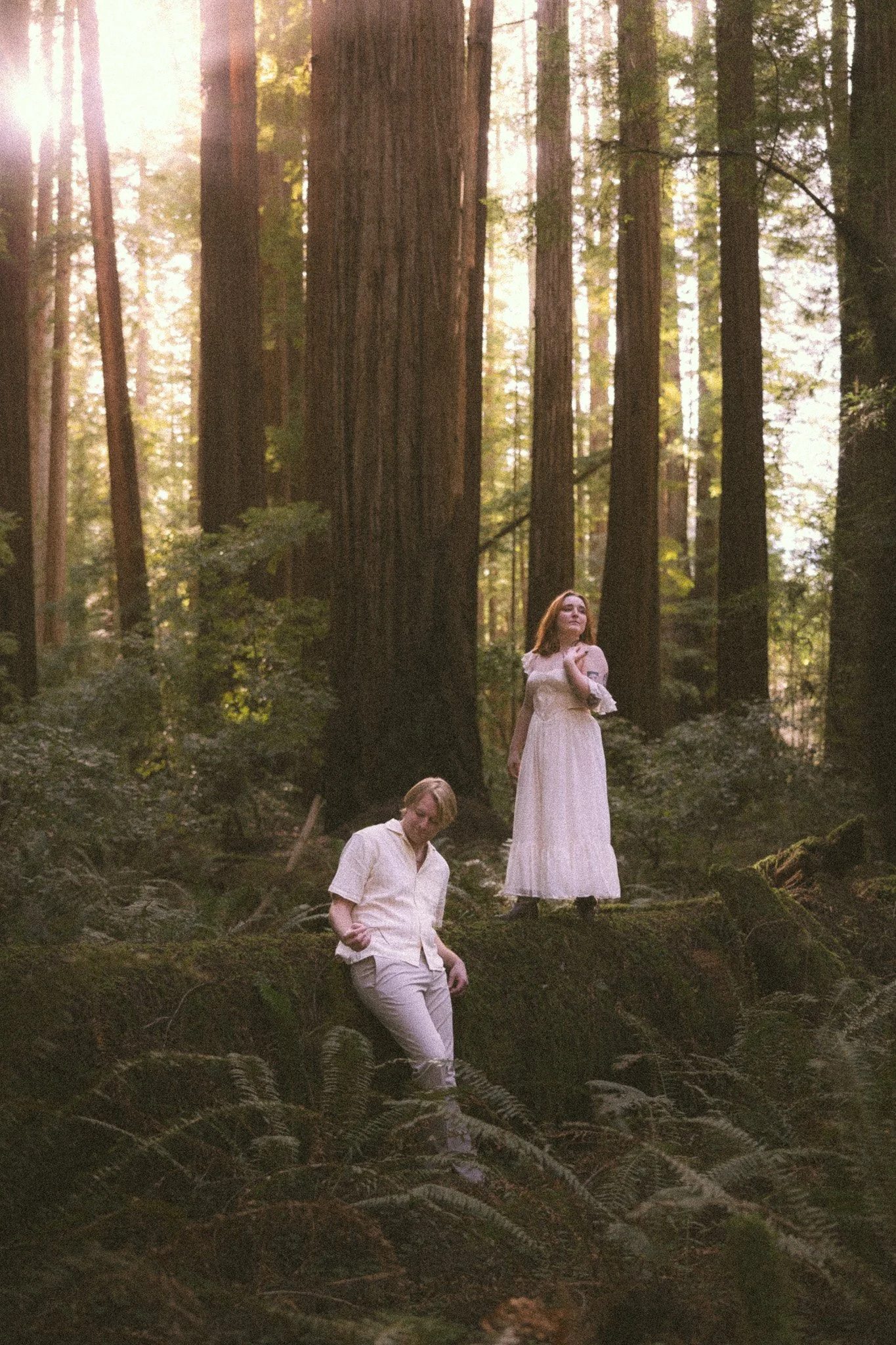 Redwood Surprise Engagement 