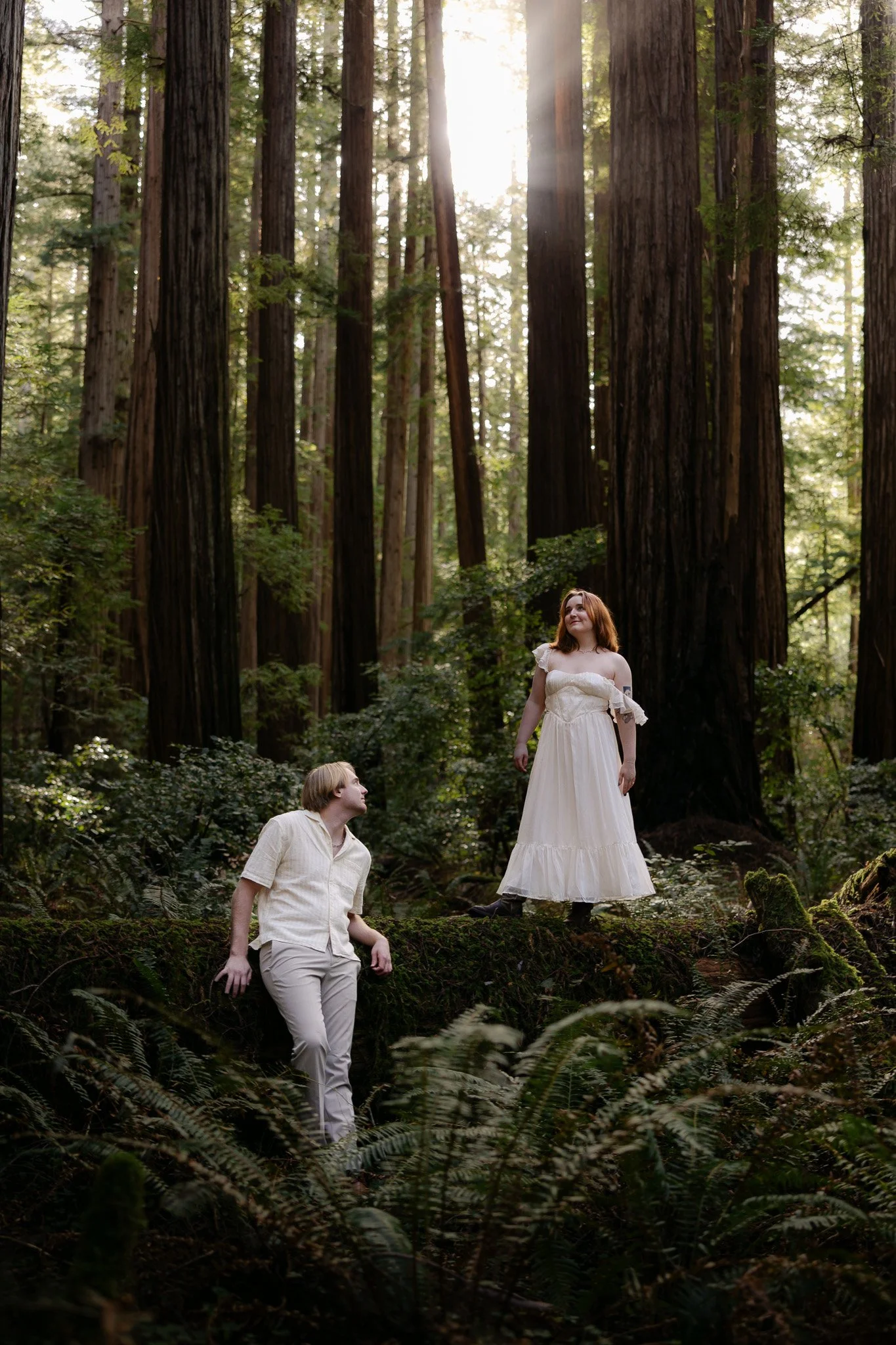 Redwood Surprise Engagement 