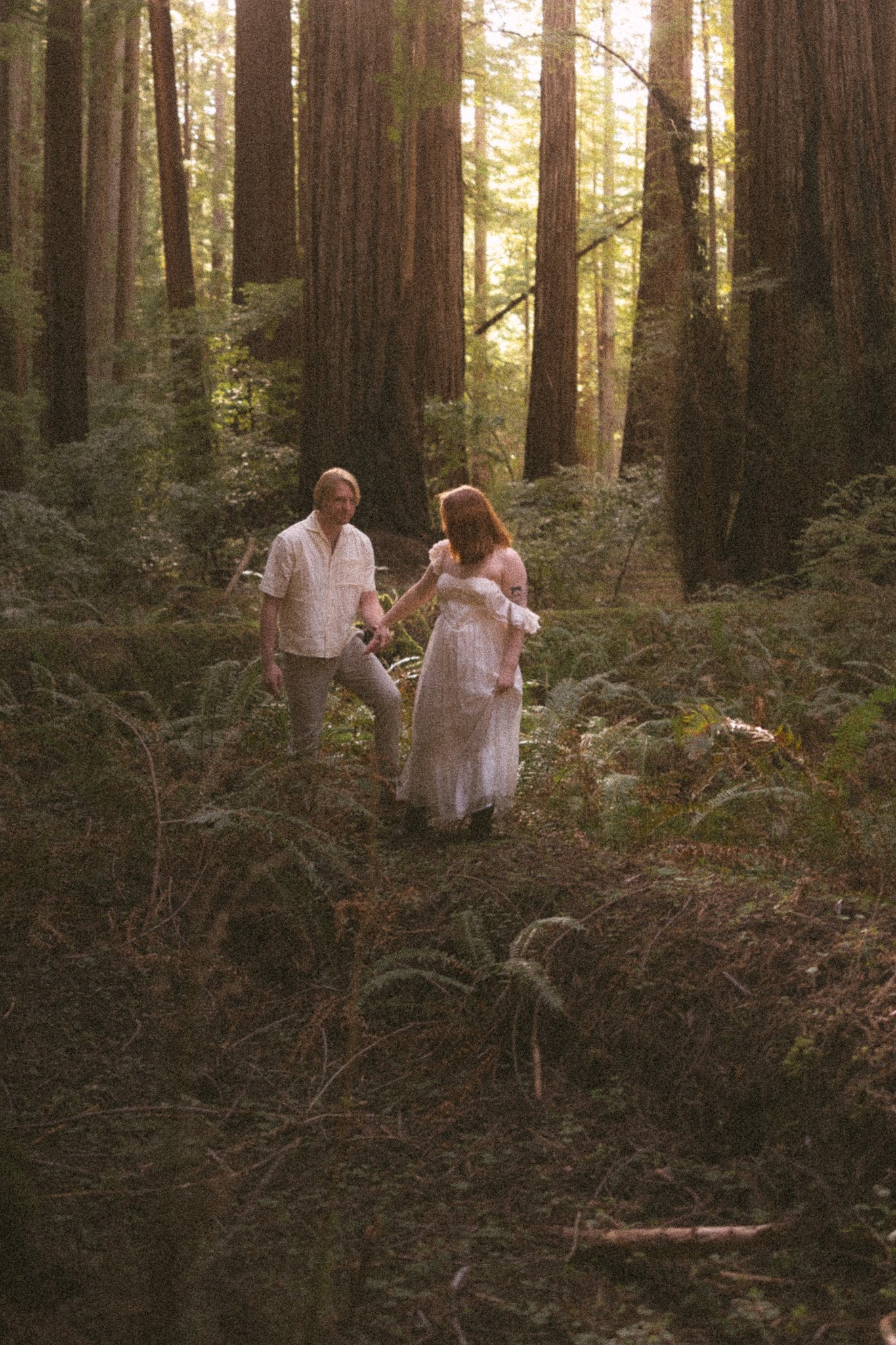 Redwood Surprise Engagement 