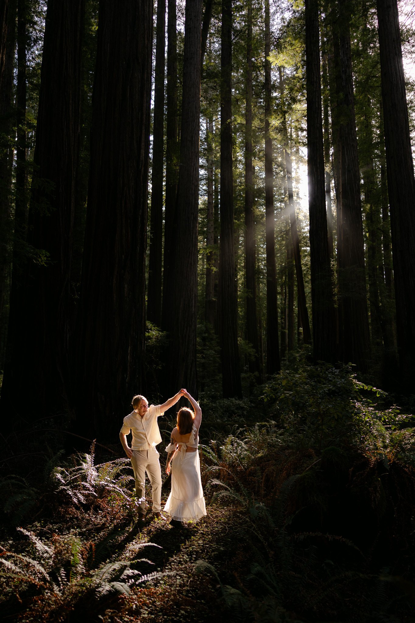 Redwood Surprise Engagement 