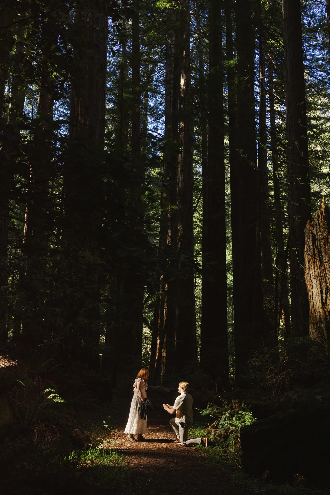 Redwood Surprise Engagement 
