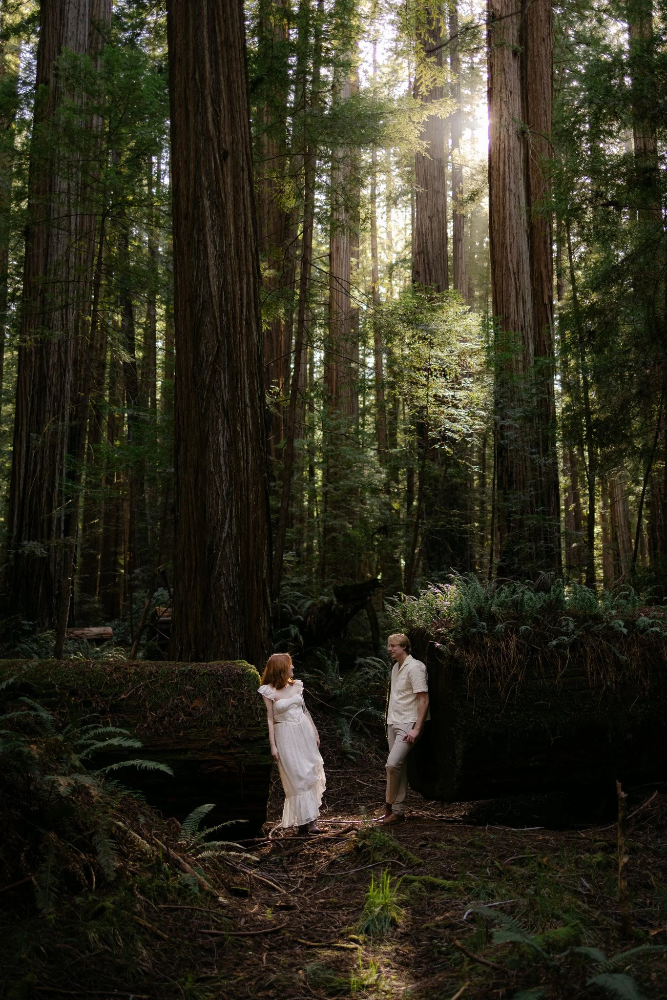 Redwood Surprise Engagement 