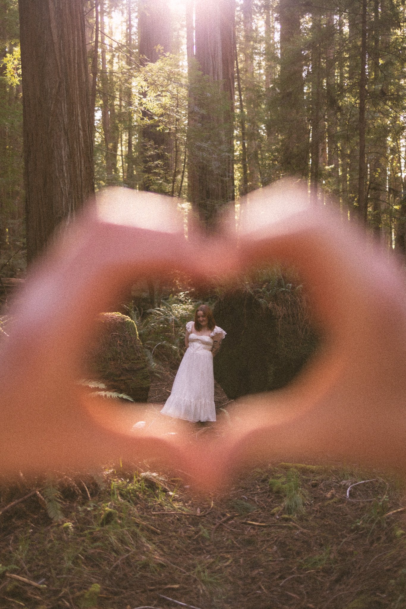 Redwood Surprise Engagement 