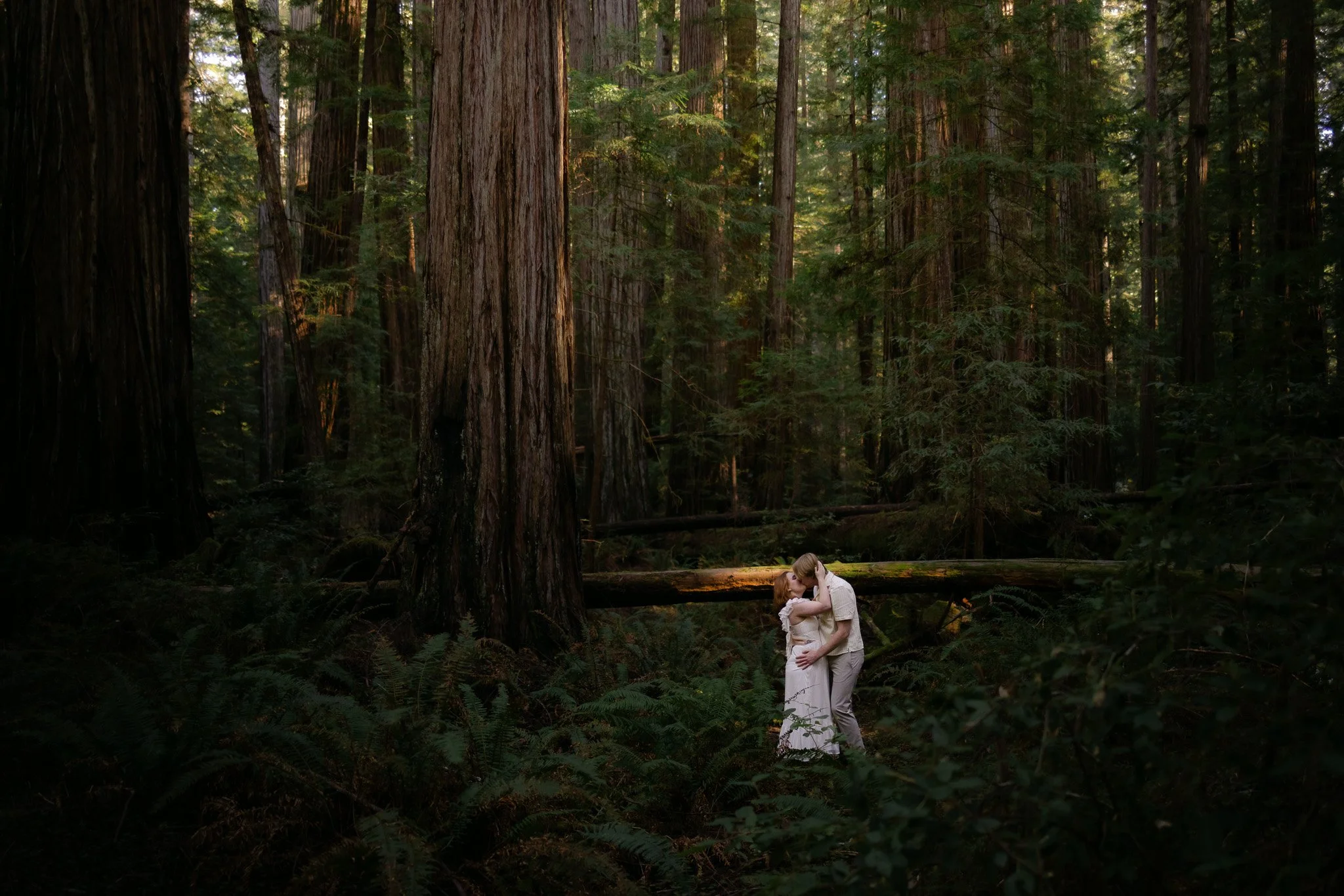 Redwood Surprise Engagement 
