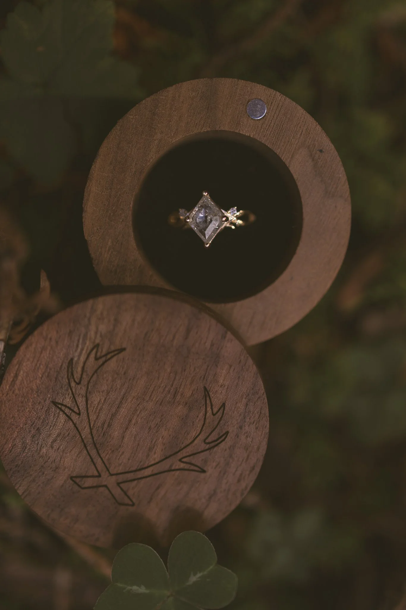 Redwood Surprise Engagement 