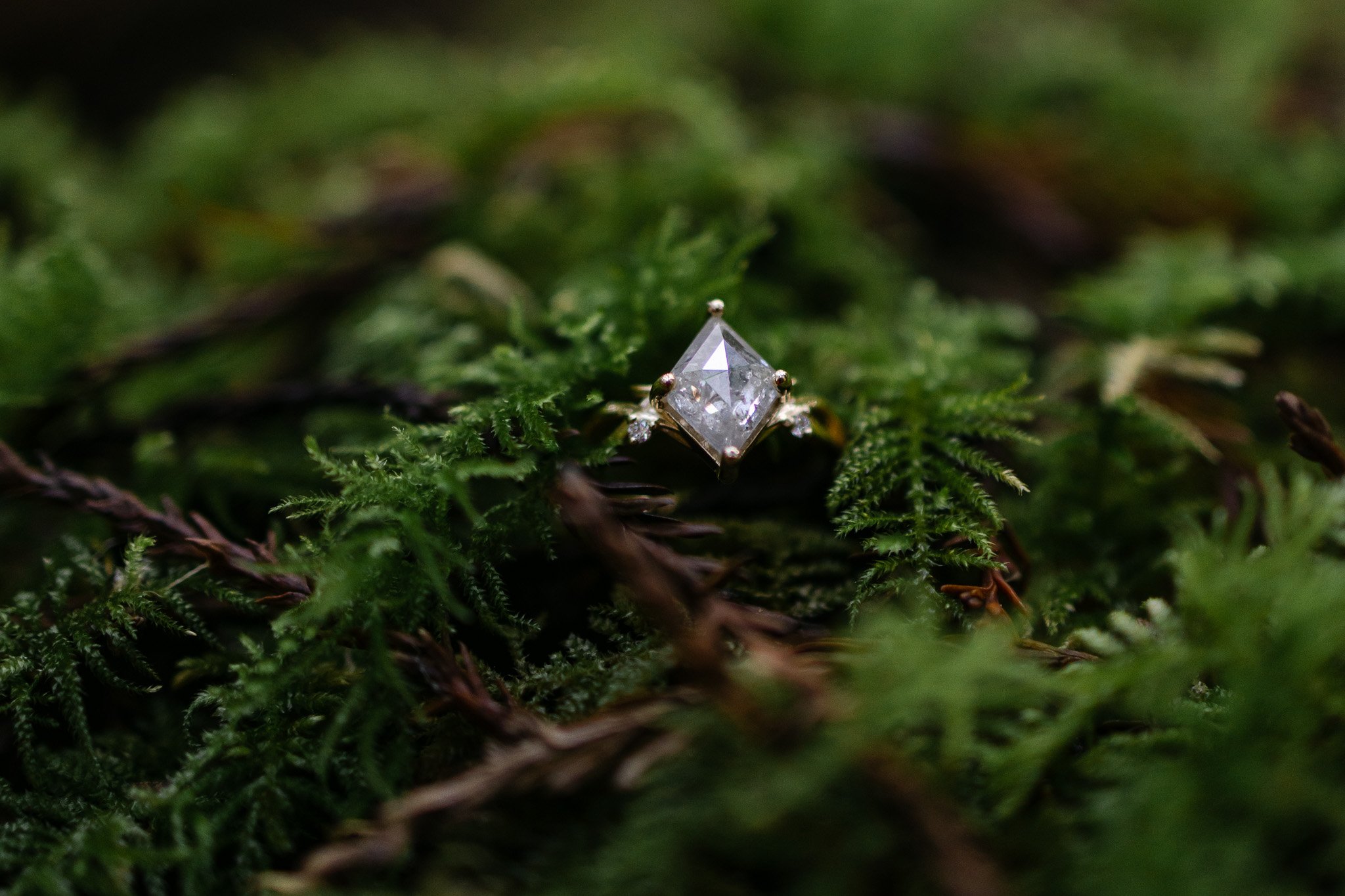 Redwood Surprise Engagement 