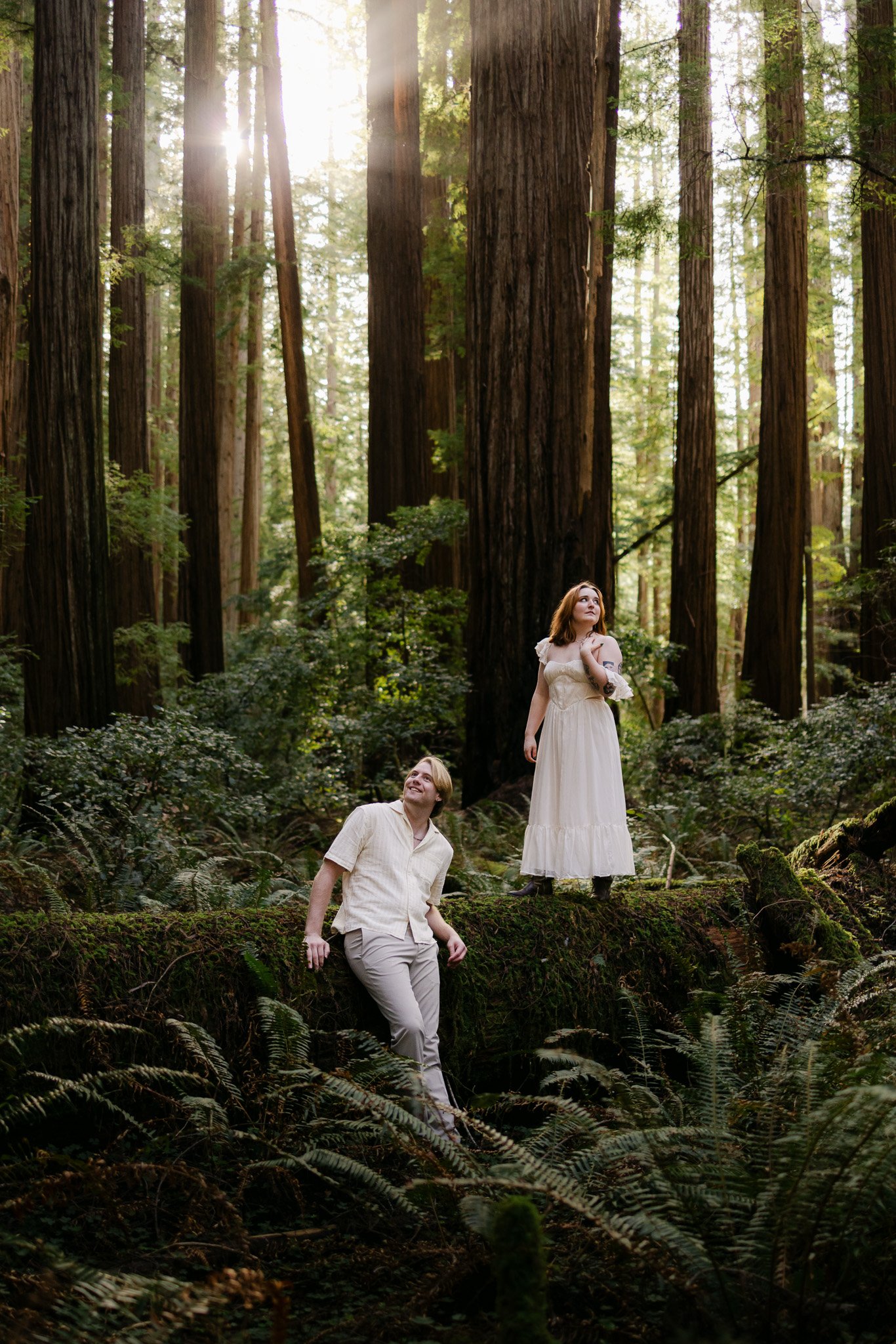 Redwood Surprise Engagement 