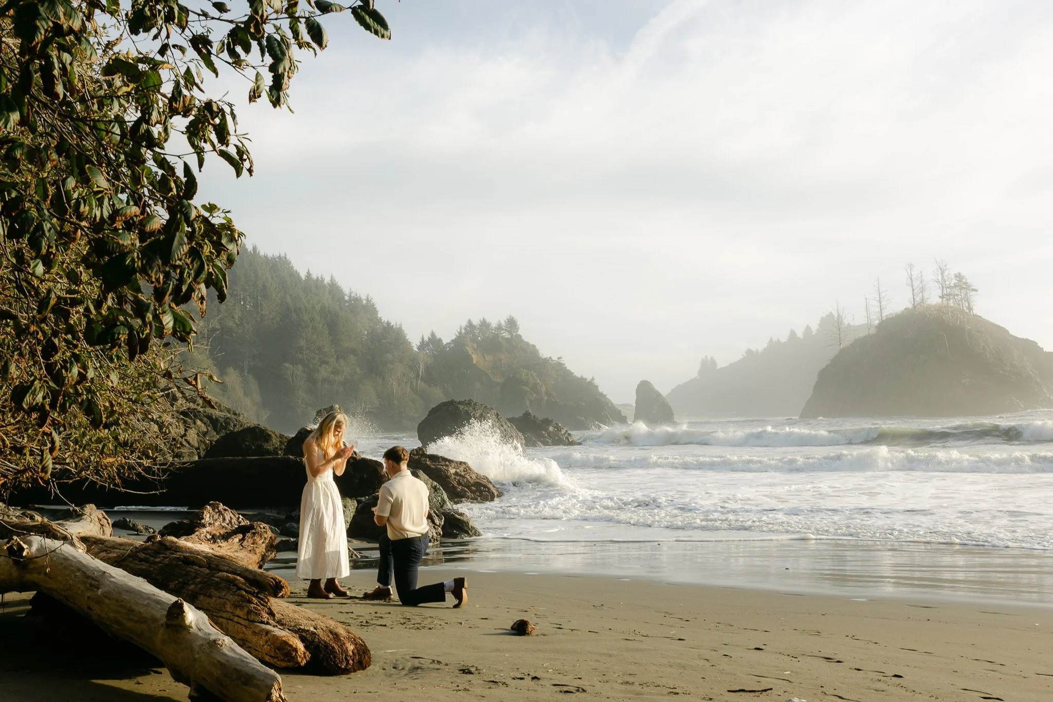 Surprise Engagement in Trinidad, California