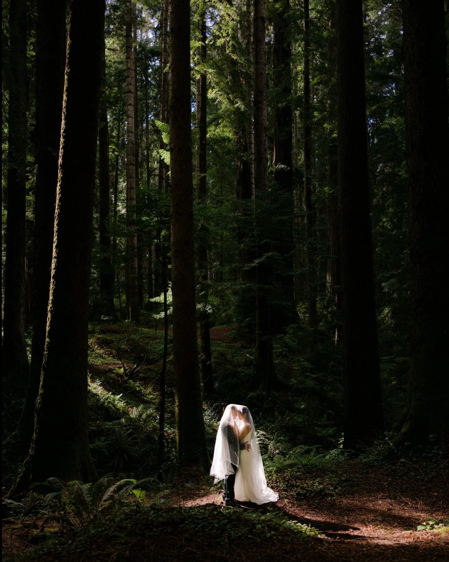 Ron and Meryl said &ldquo;I do&rdquo; in New Mexico, then traveled to Humboldt County for the wedding portraits they had been dreaming of. They slipped back into their wedding attire and met me in Humboldt County for a two-part post-wedding session t