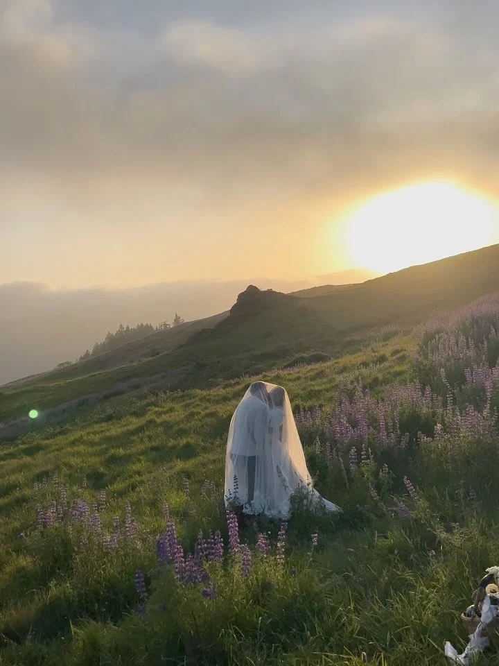 *Photo sneak peeks at the end!*

All the right elements came together for THE dream session. The cutest couple trusting my creative vision, lupins in full bloom, and the most beautiful sunset wrapping the evening in gold. Some sessions just feel like