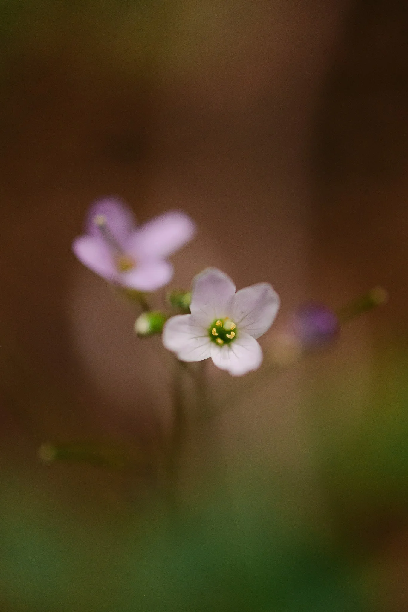 047A9556.jpg