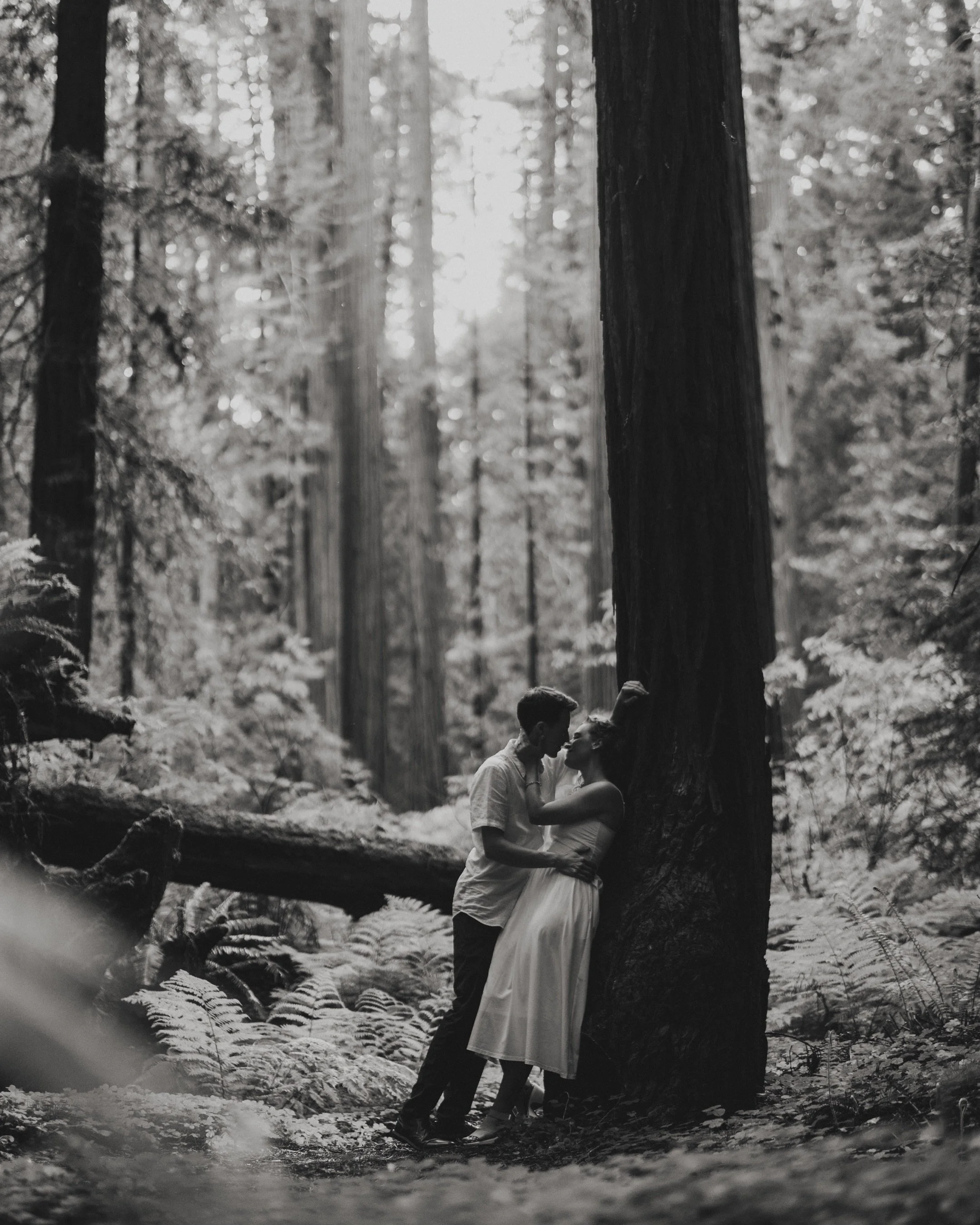 A trip from Texas turned into the start of forever. 💍

Putting the finishing touches on this gallery for @isakangerstig and @ruthleach21 ✨ Sending it your way soon!

#redwoodsproposal #humboldtcountyphotographer #proposalphotographer #engagedinthewo