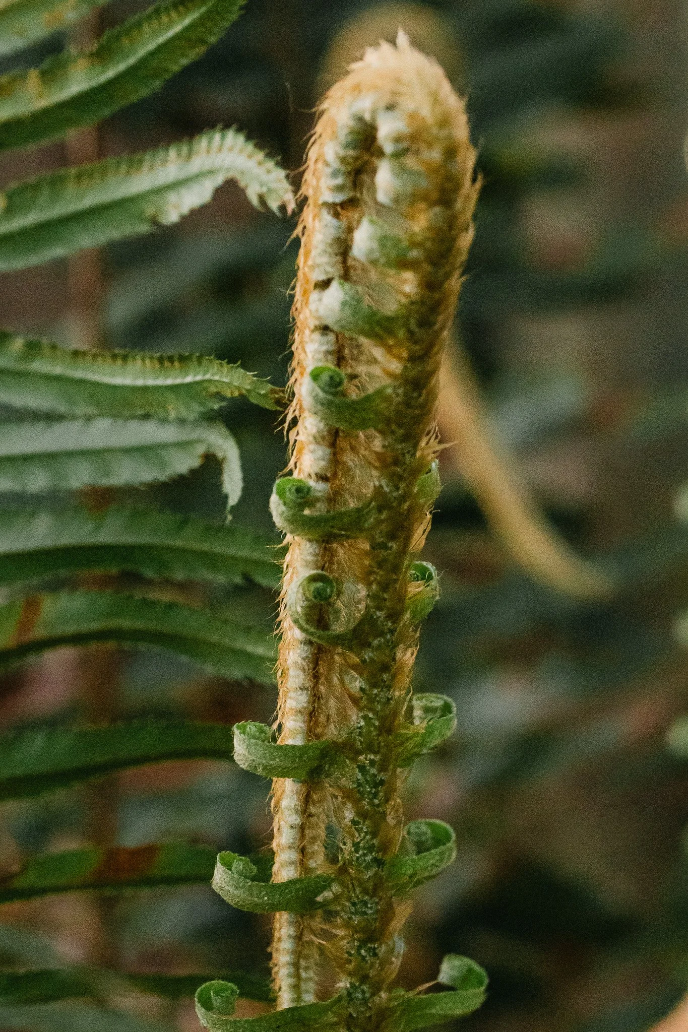 257A0598.jpg
