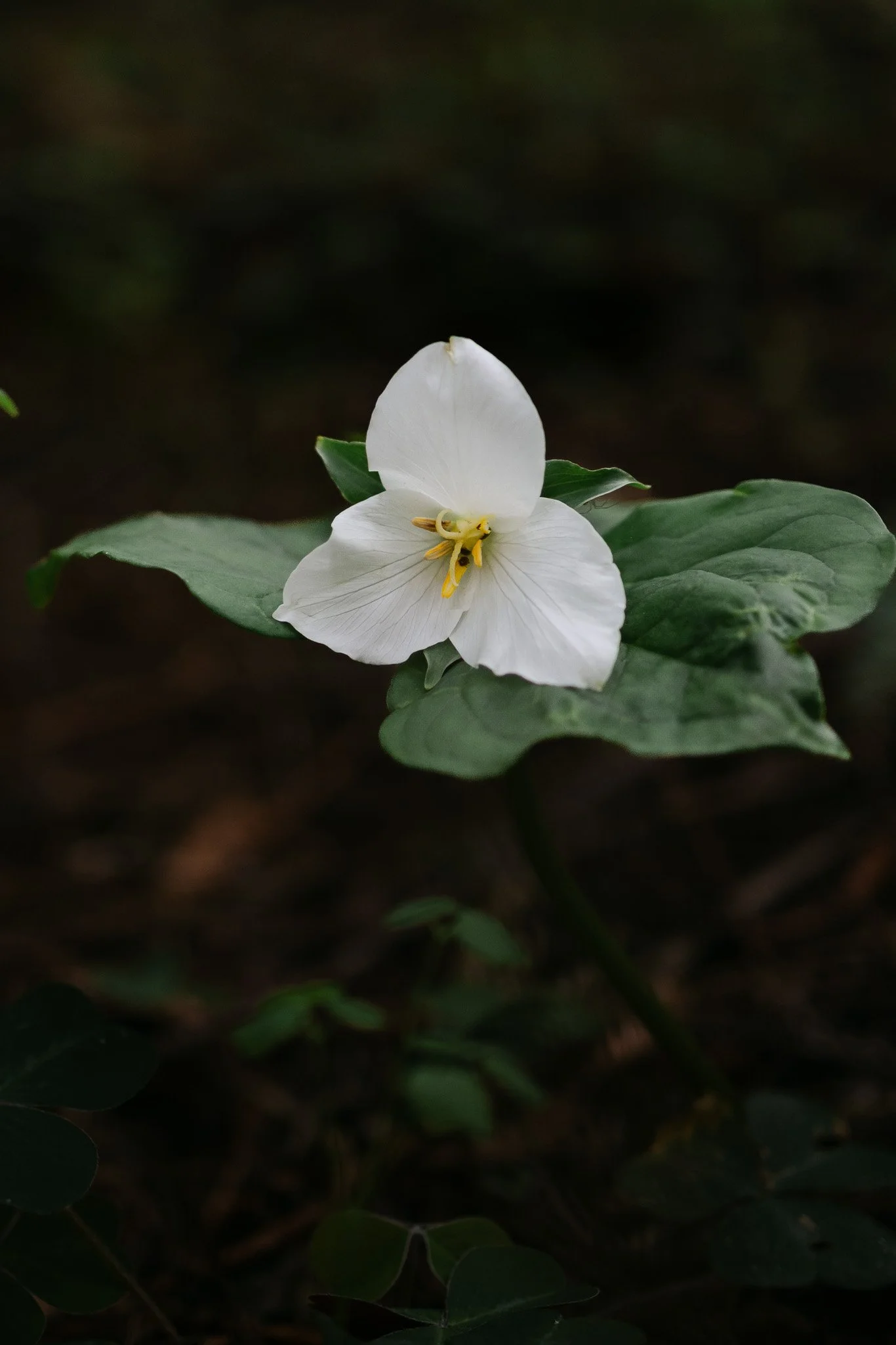 152A5390.jpg