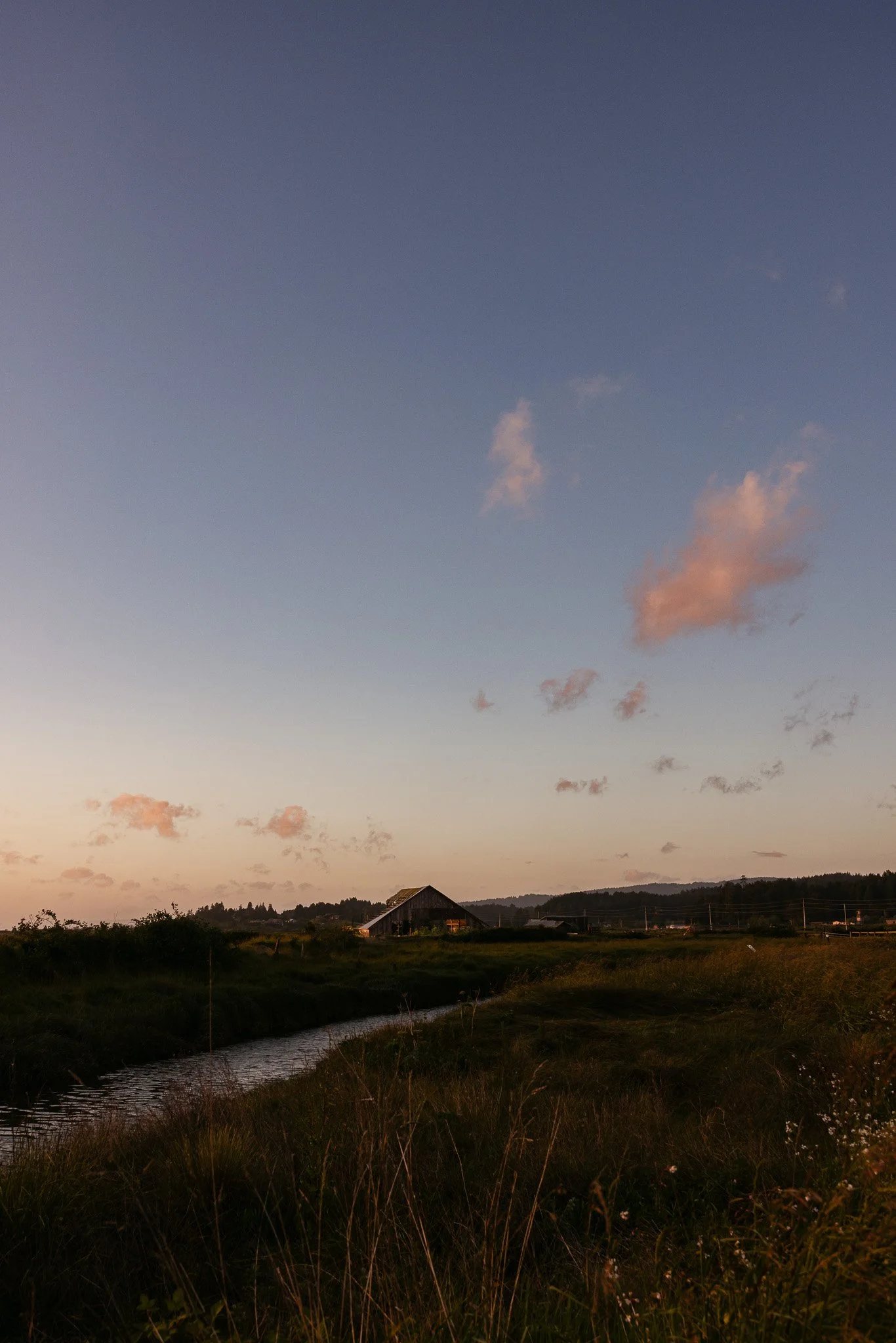 152A0220.jpg