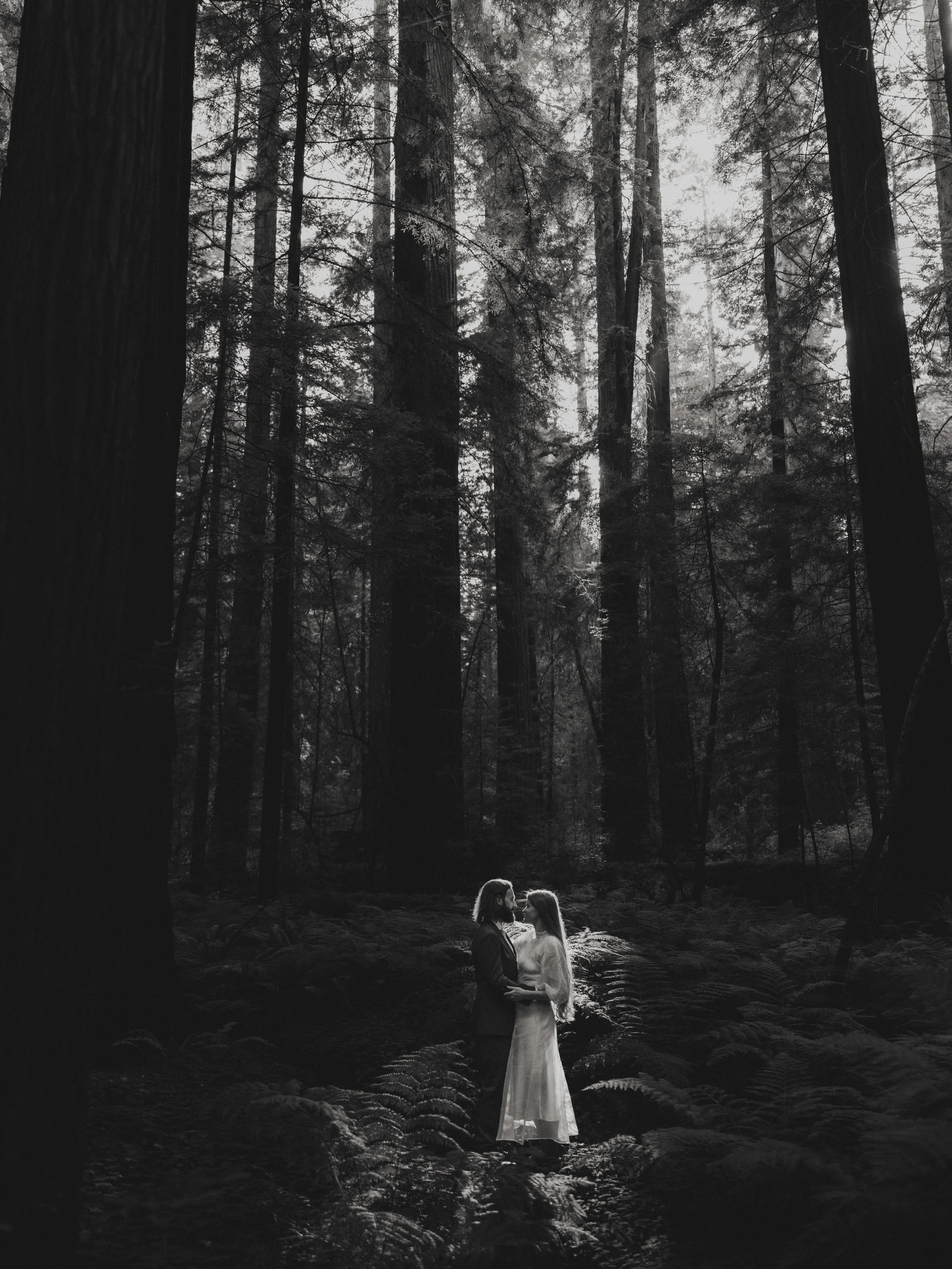 Monochrome sneak peeks.