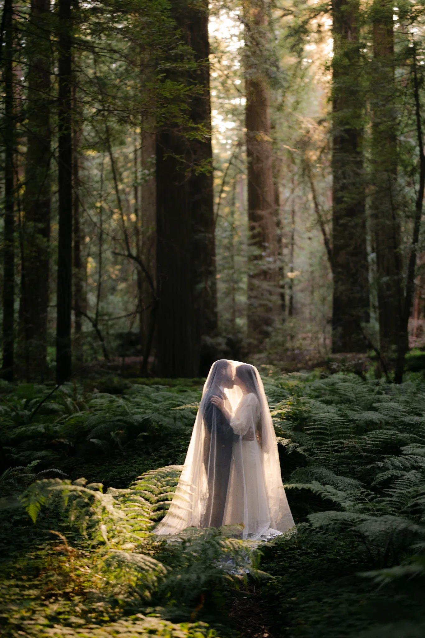 A Dream Elopement in the redwoods| Grahm + Kelsey