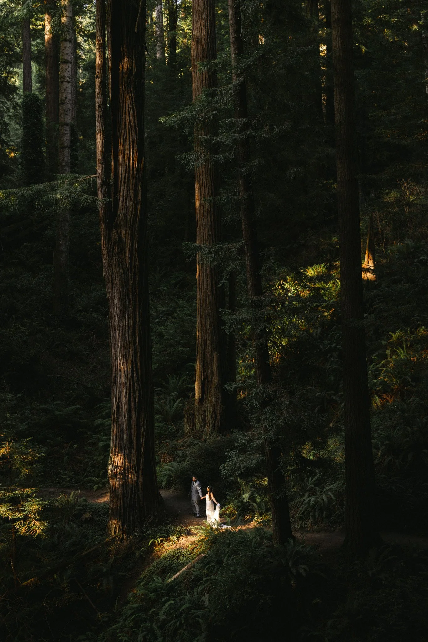 Redwood Elopement in Arcata, California | Robert &amp; Dezeree