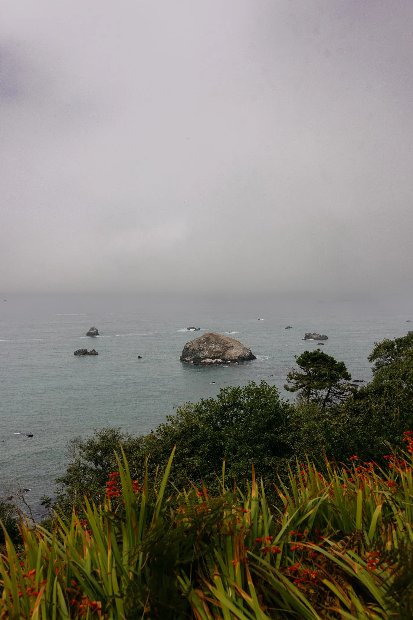 257A6581.jpg