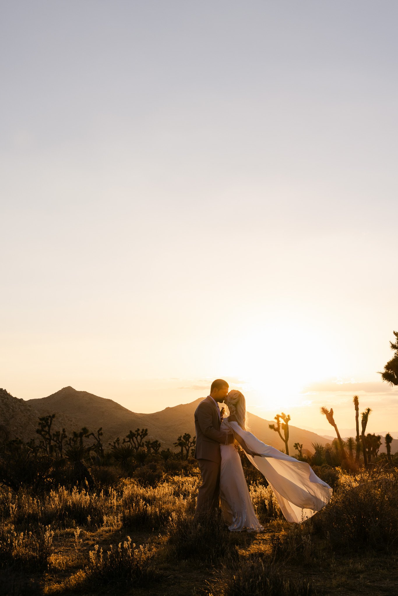 Golden Hour Joshua Tree Elopement