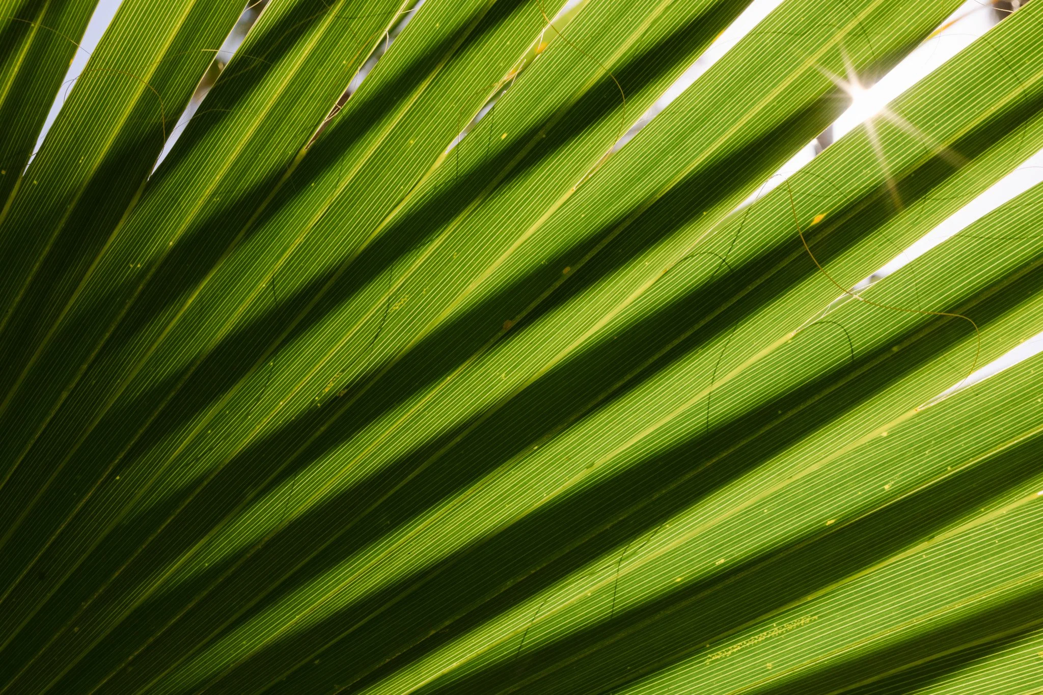 152A2260.jpg